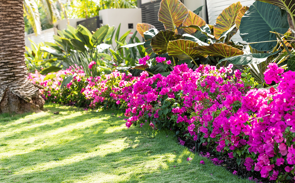 Beautiful-Landscaping-In-Daytona-Beach-Florida