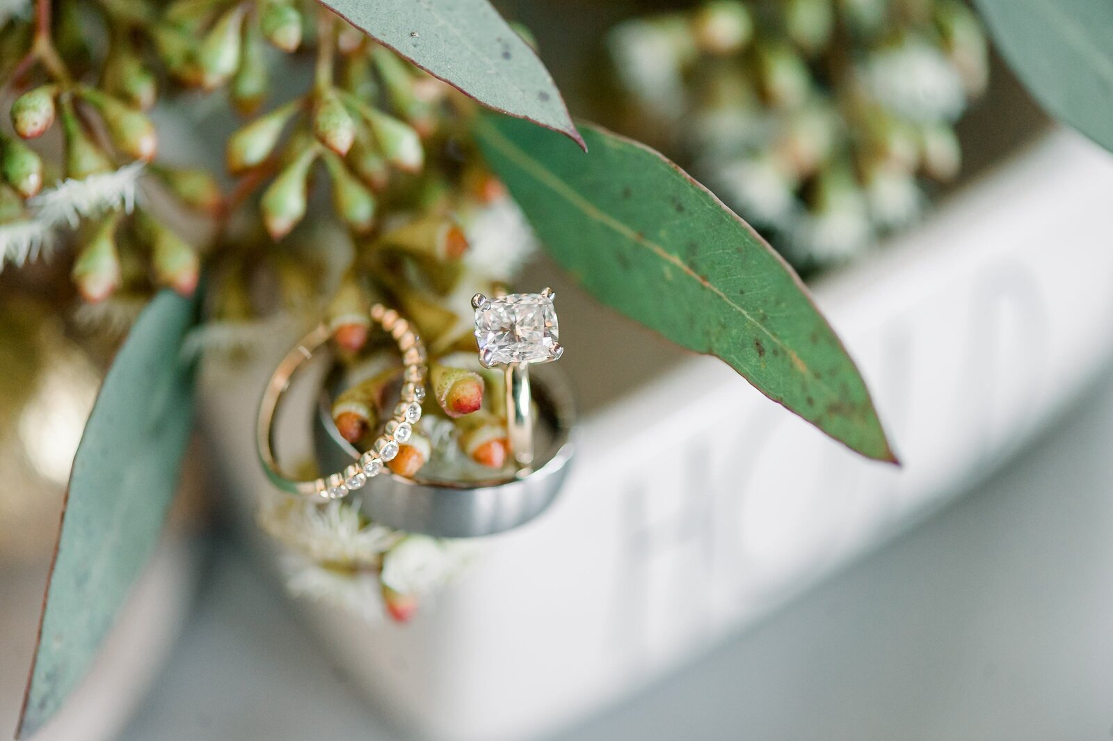 Wedding rings on eucalyptus seeds.