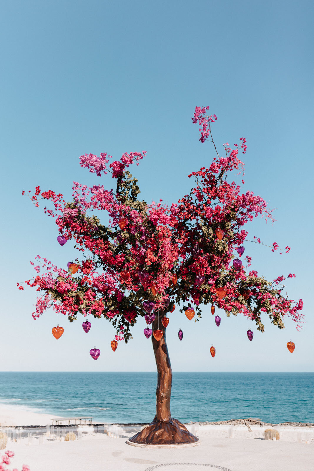 Las Ventanas. Rosewood Cabo wedding. M+E. Photo By Julieta-393