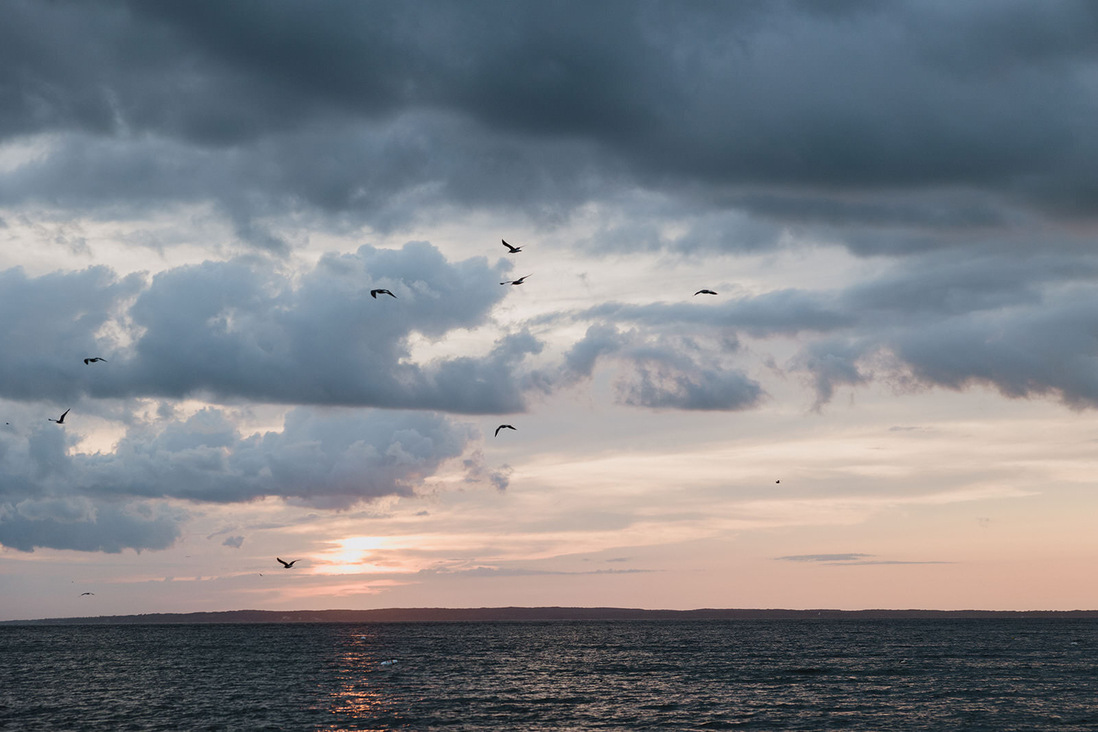 Jennifer - Martha_s Vineyard -August 30_ 2023-132- Larisa Stinga Photography_websize