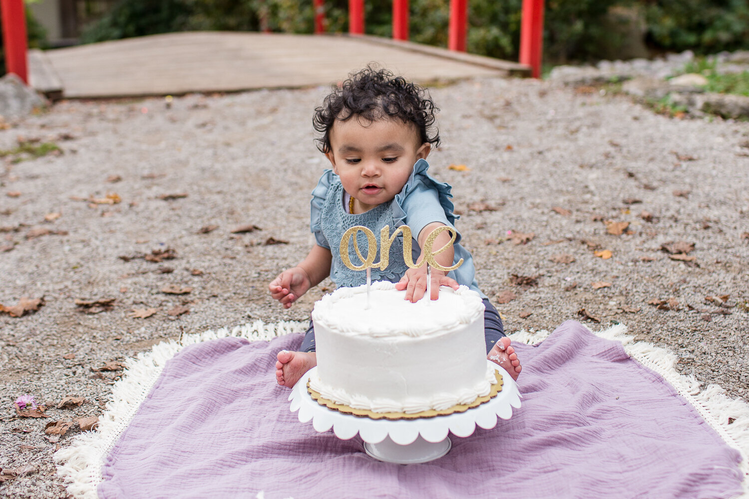 Outdoor-Cake-Smash-Photography-Session-Frankfort-KY-Photographer-9