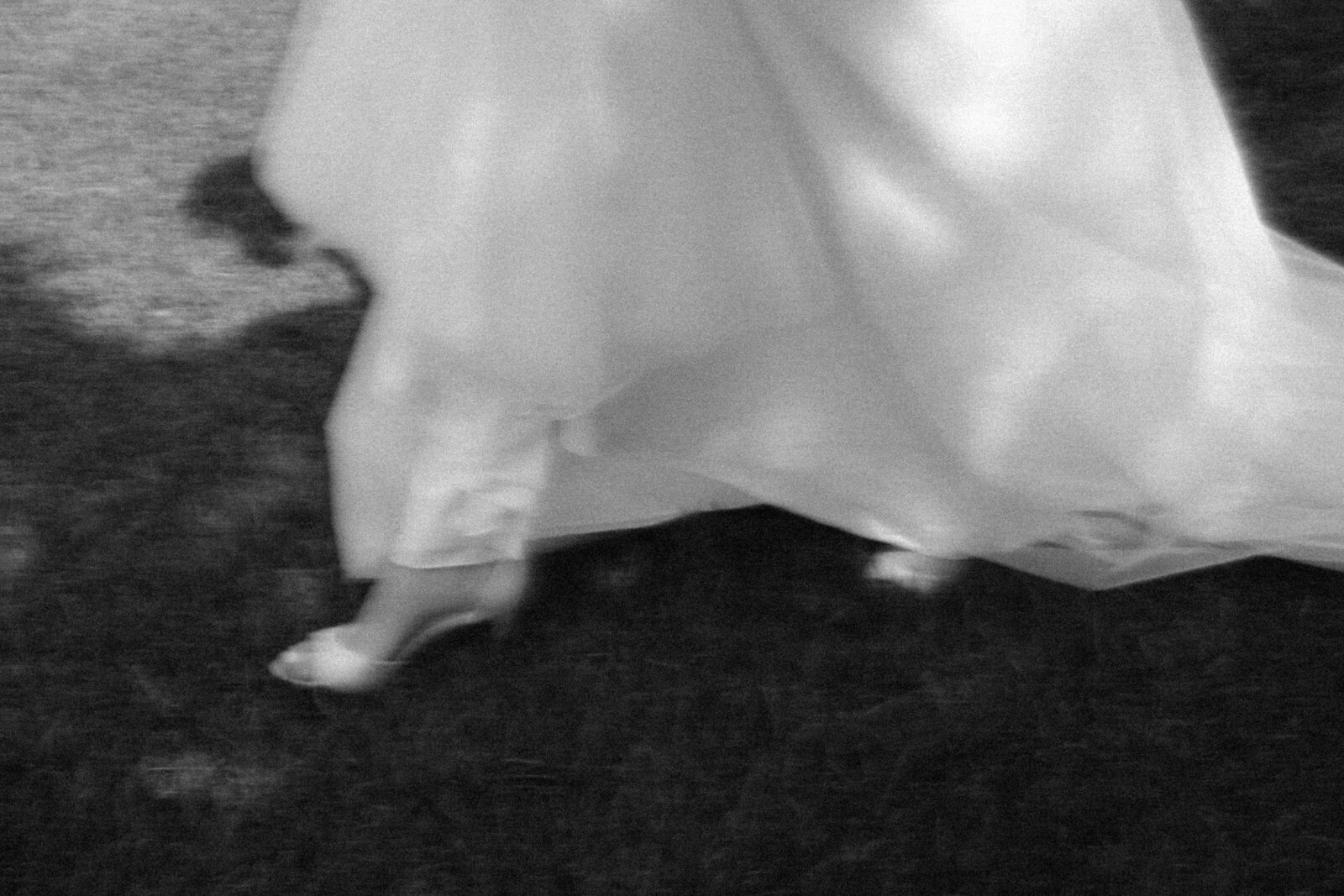 20250816-20250816-DSCF2381