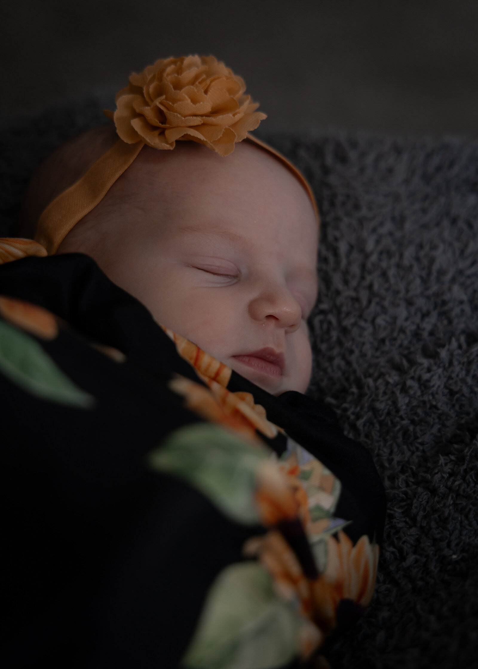 baby newborn portrait 1