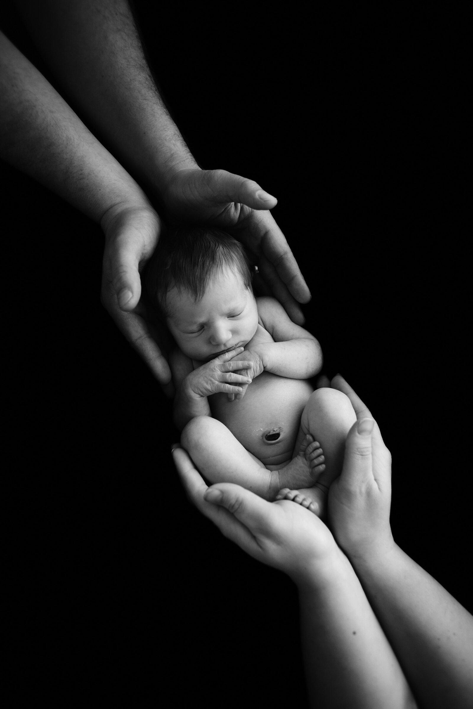 Collingwood-Newborn-Photography (60)