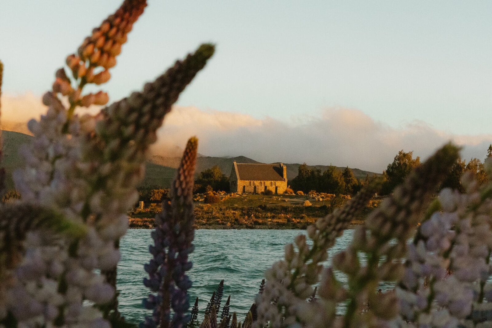 Lake Tekapo - Holiday - Day 5-54