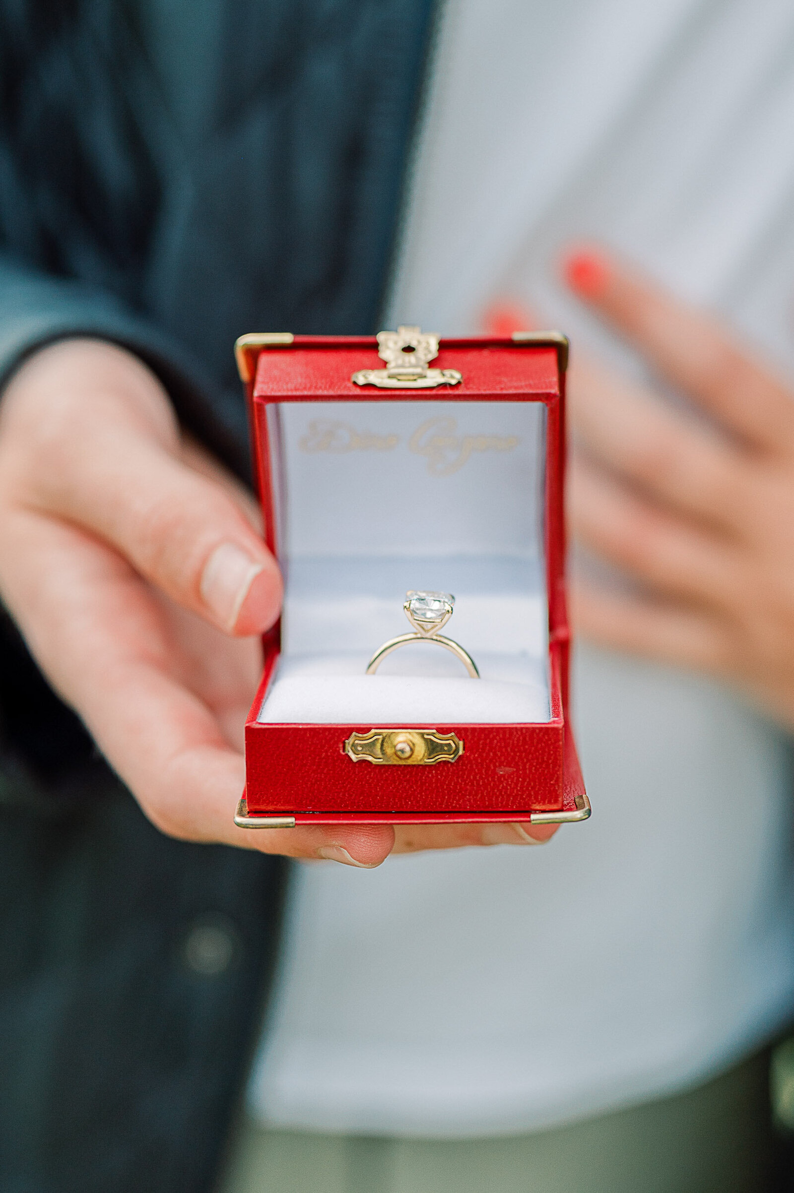 marriage-proposal-amsterdam-vondelpark-7