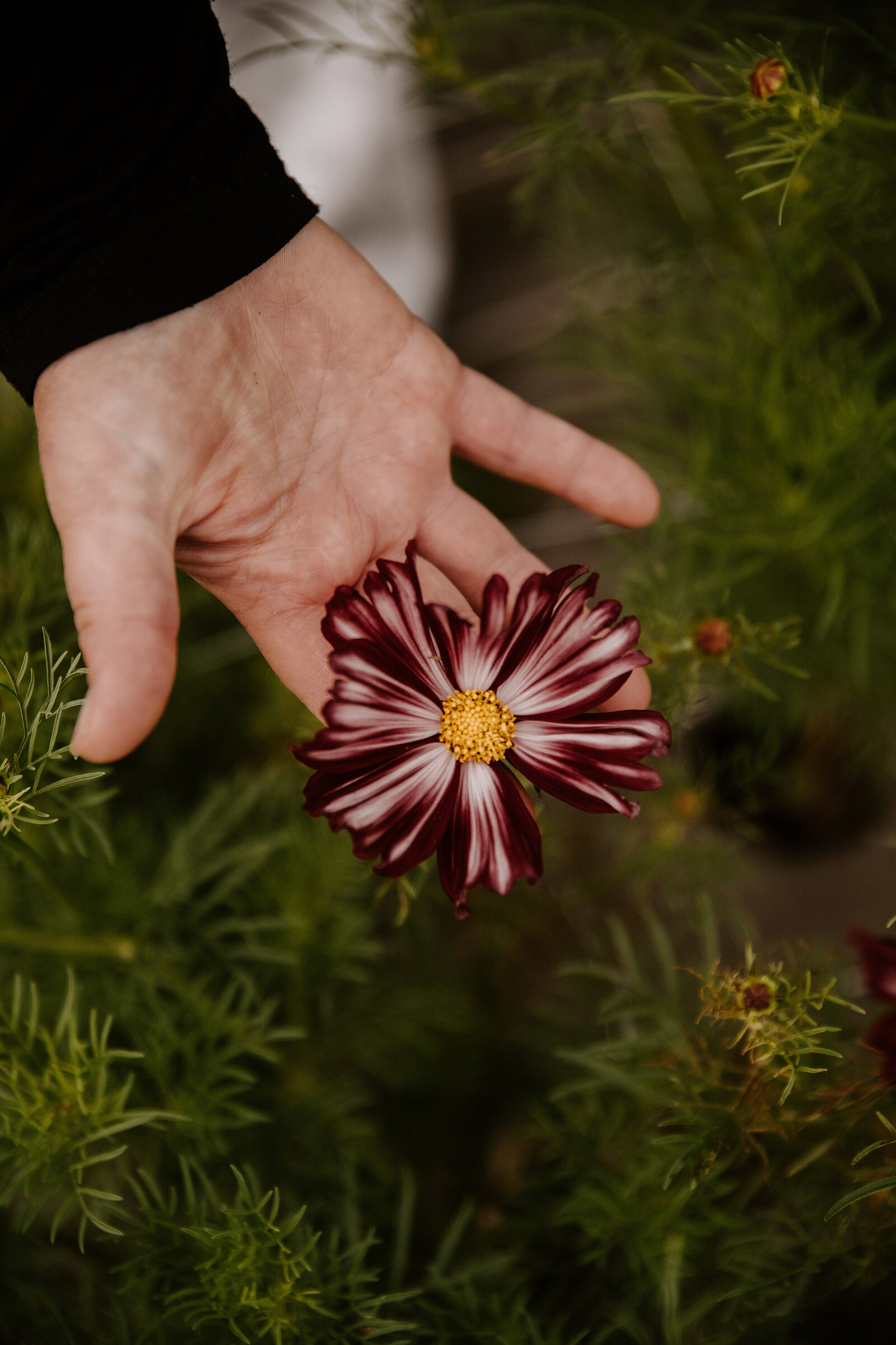 classesflorale_worshop_fermeflorale_6