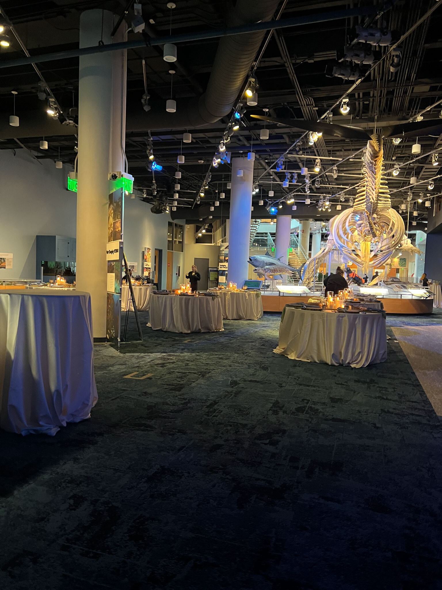 Luxurious wedding reception setup