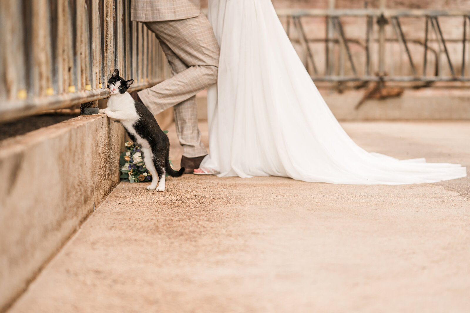 EVFotografie-WeddingNicoLenette-25082023-356