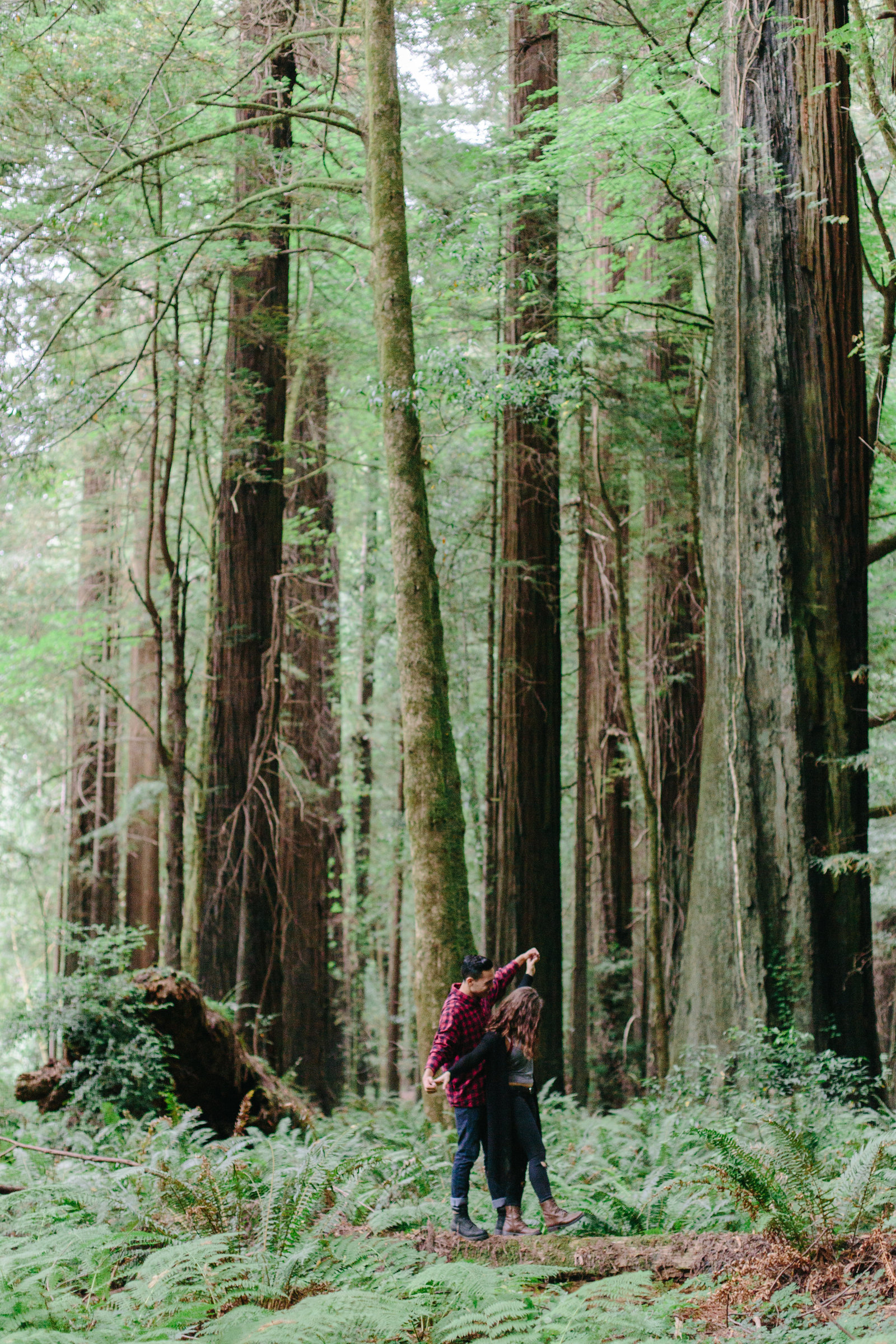 Redwood National Park Avenue of the Giants Engagement Session -7475
