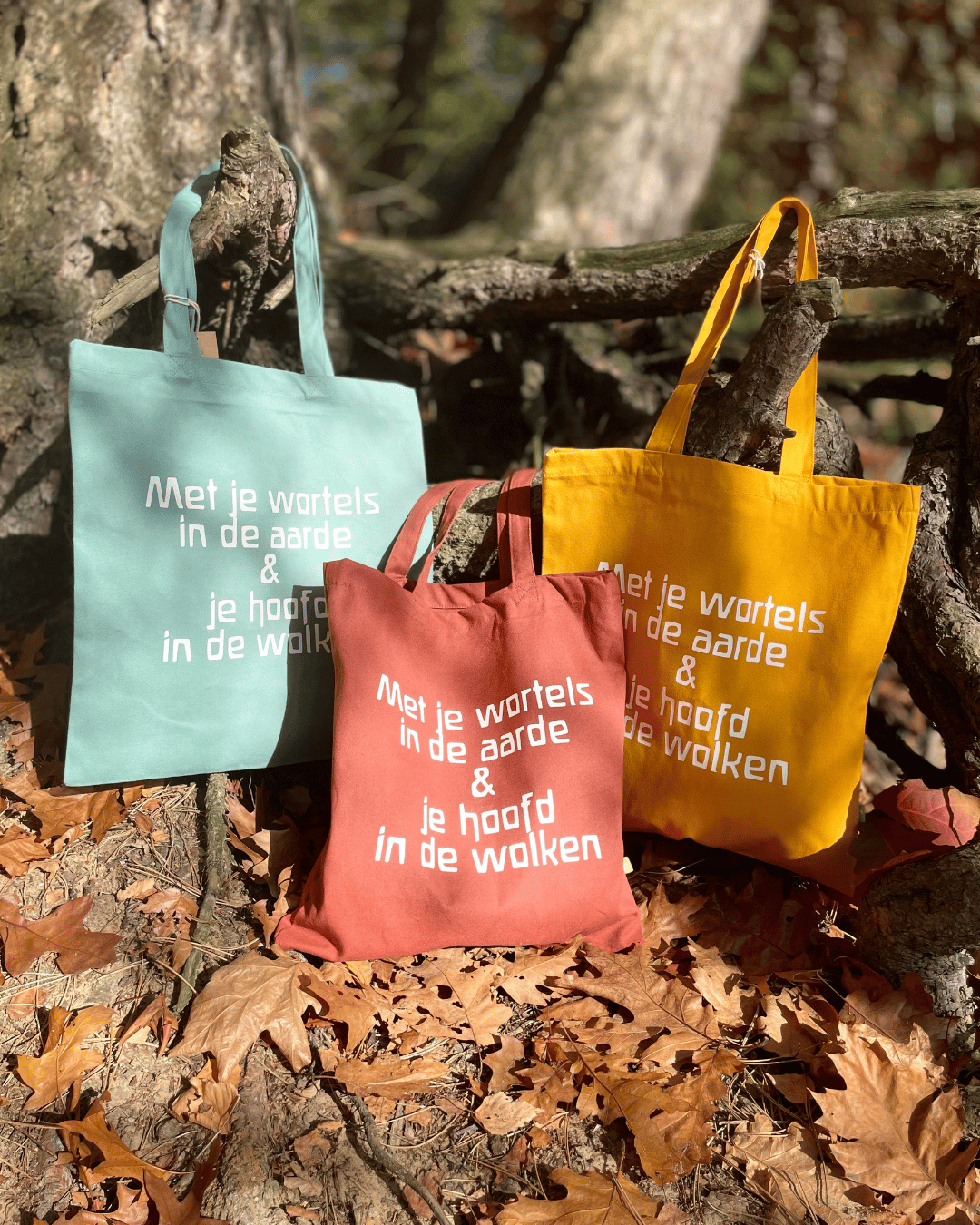 carousel, meiraapje-webshop, webshop, meiraapje, voeten-in-de-aarde, hoofd-in-de-wolken, tas