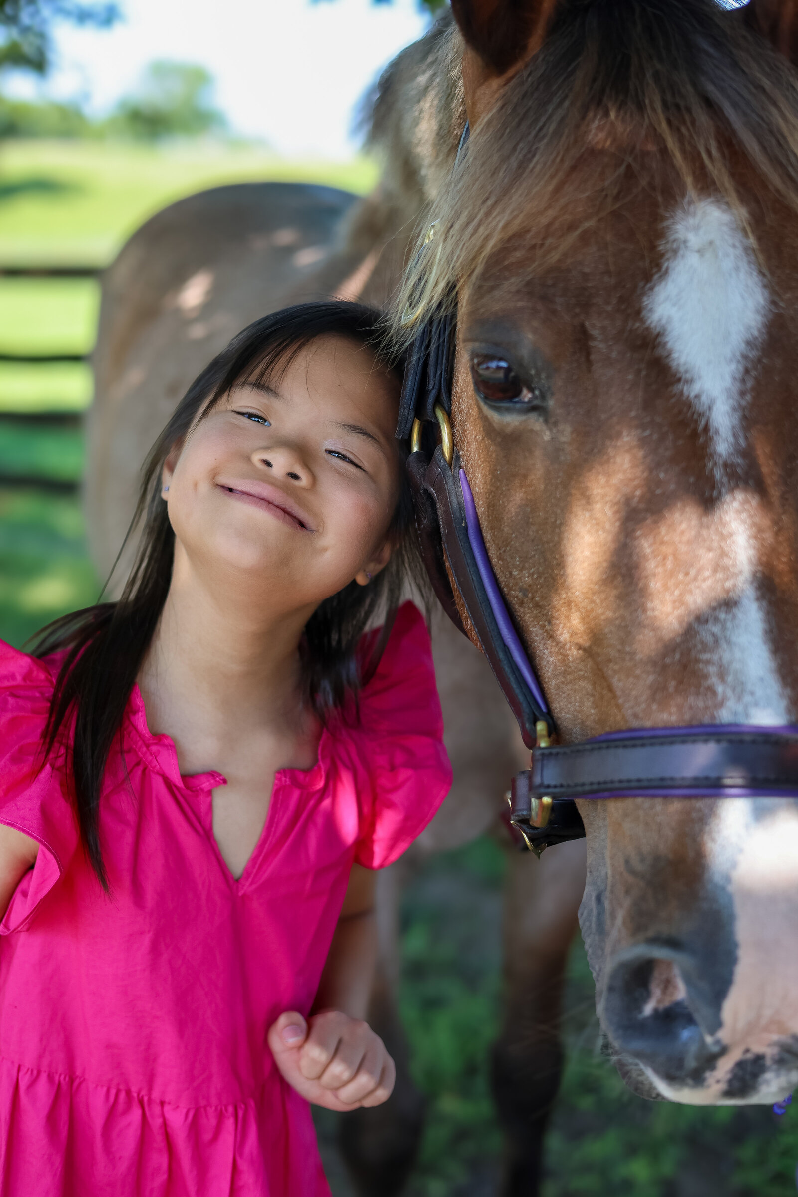 EK Horse