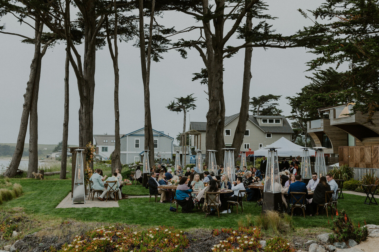 Marisa&amp;Jason_Half_Moon_Bay_Wedding_Trinity_Rose_Photography_Reception_Toasts-251
