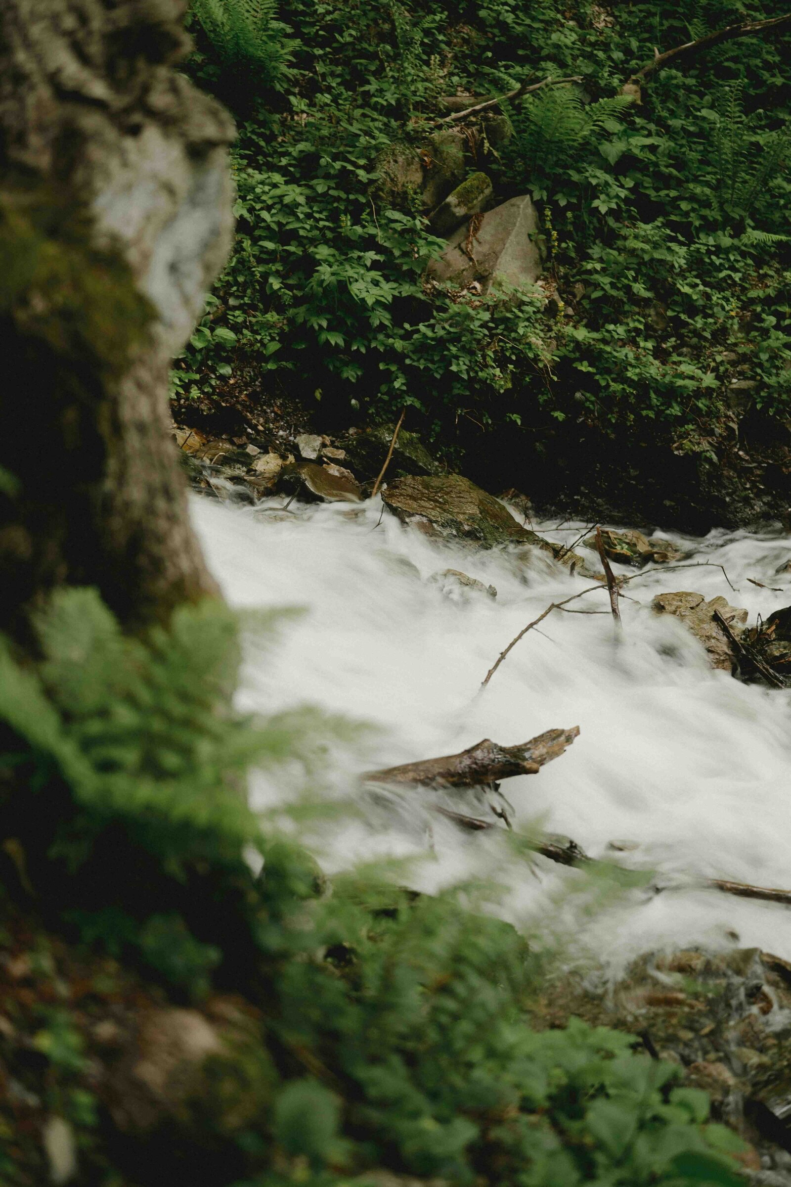 pexels-anastasia-shuraeva-8027942