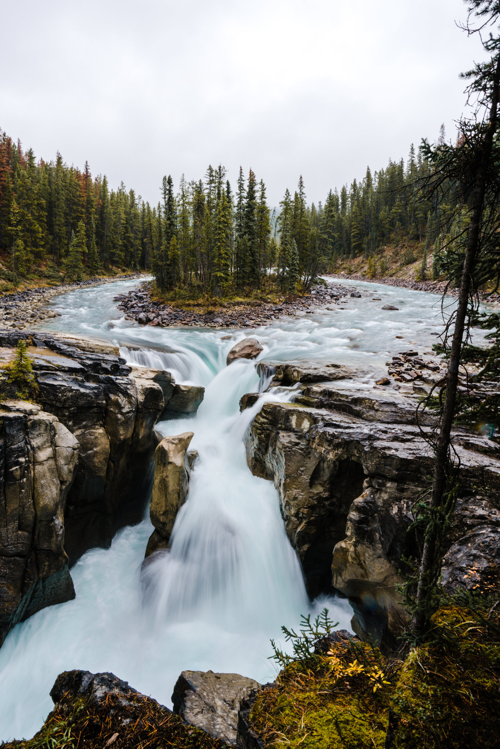Banff_Jasper_National_Park_Sasha_Reiko_Photography-47