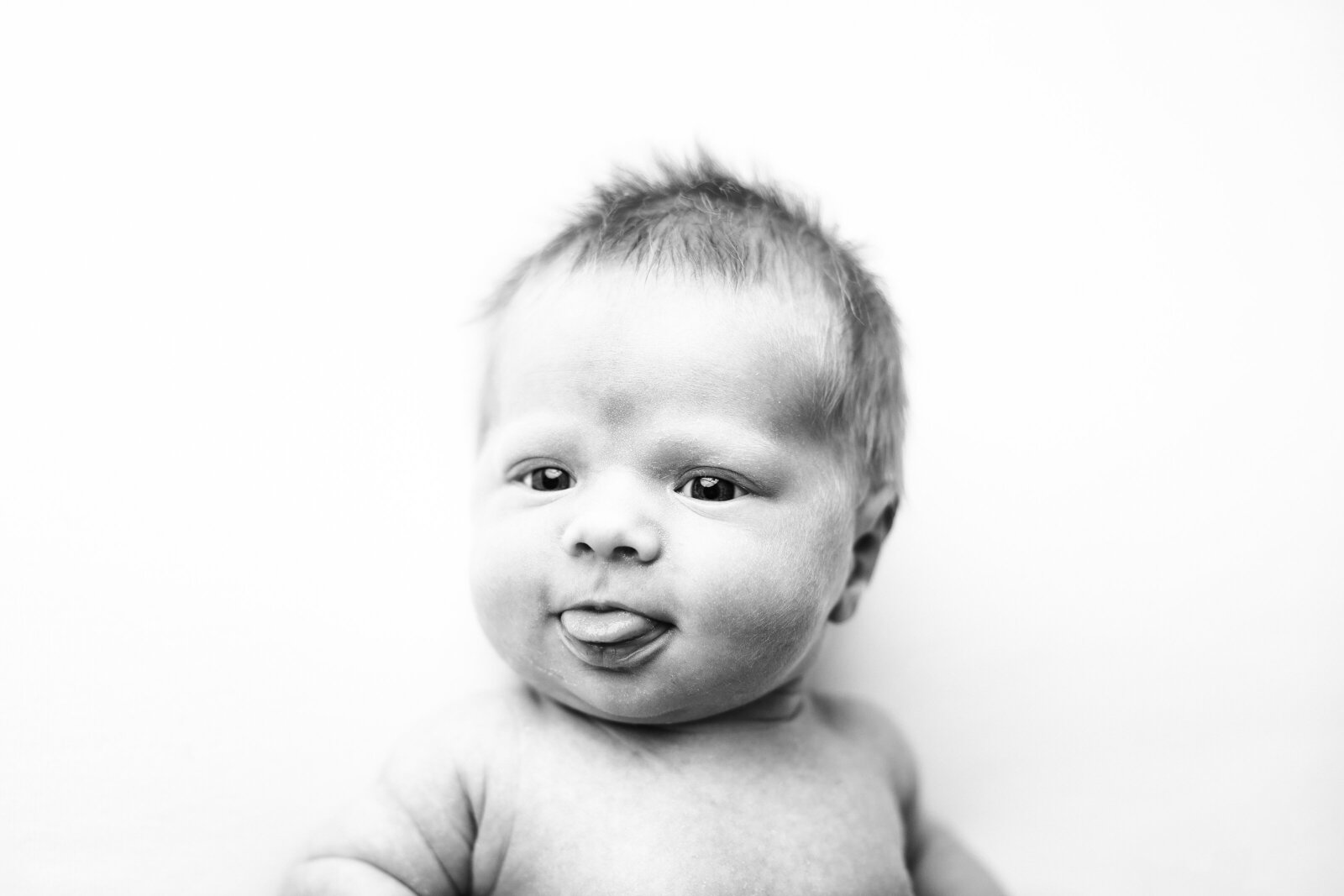 oakleigh_24