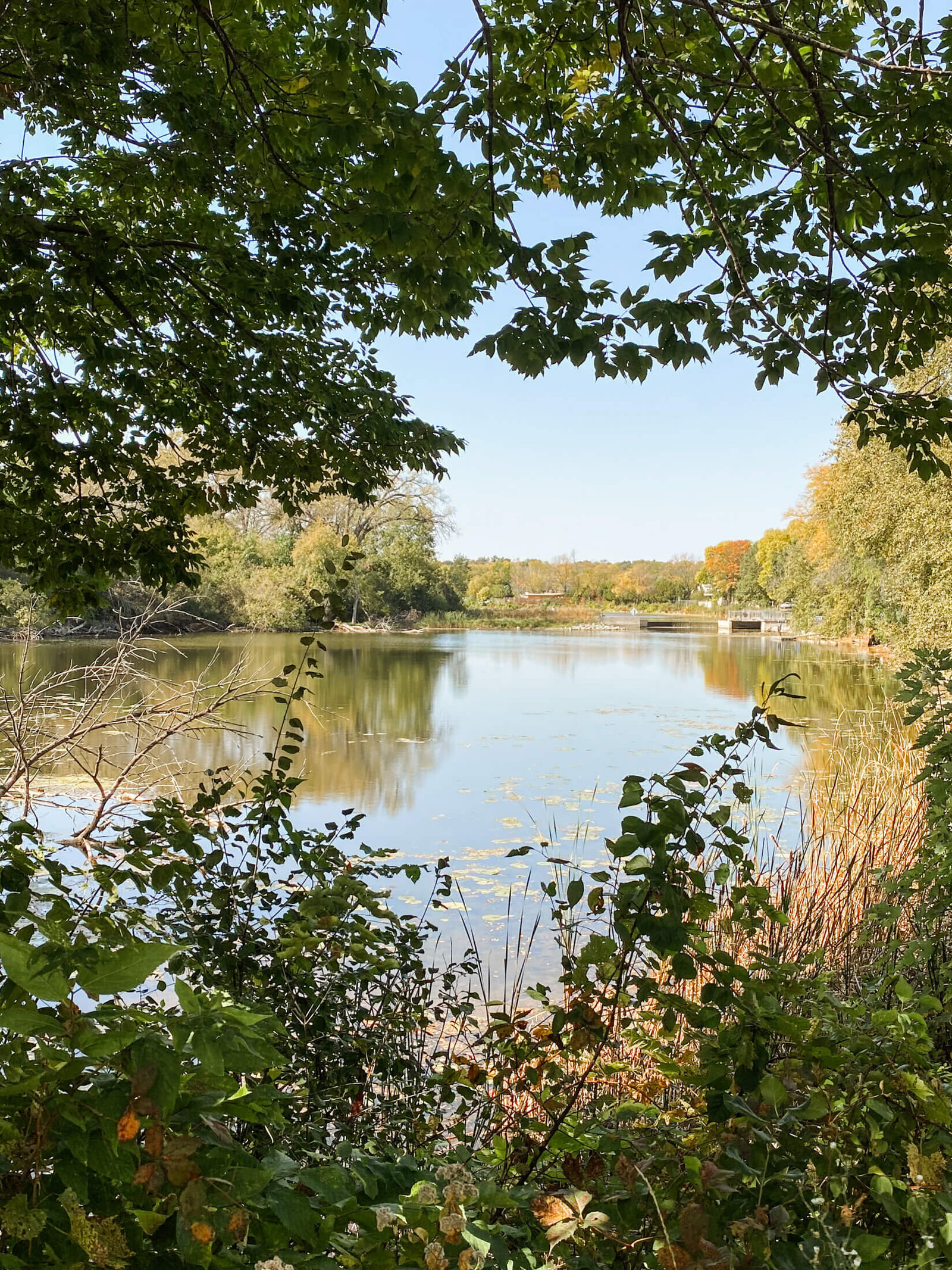 Greenbush-6