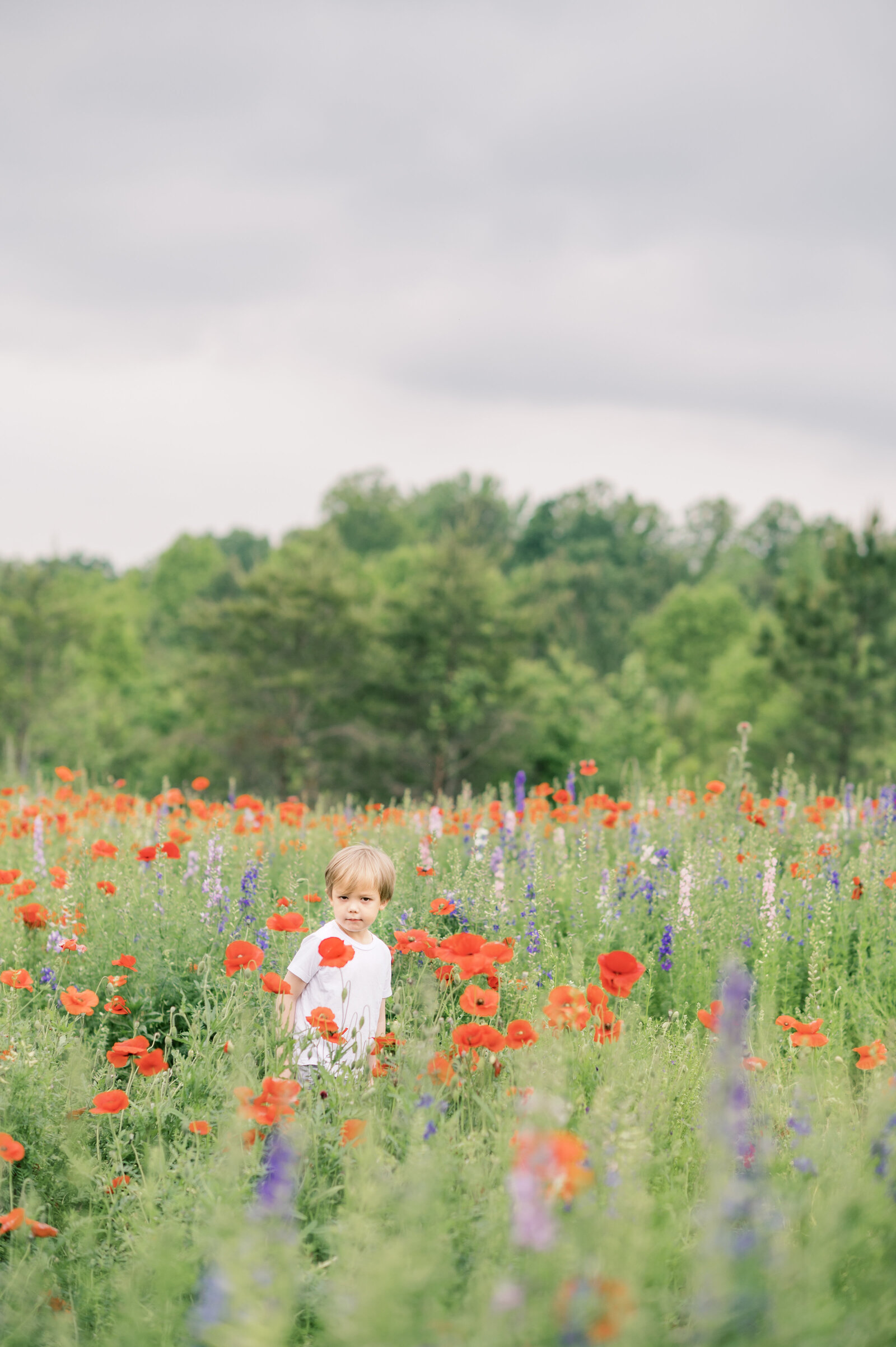 James_Dogwood-Farms_Belews-Creek_NC_2023-05-12_1044