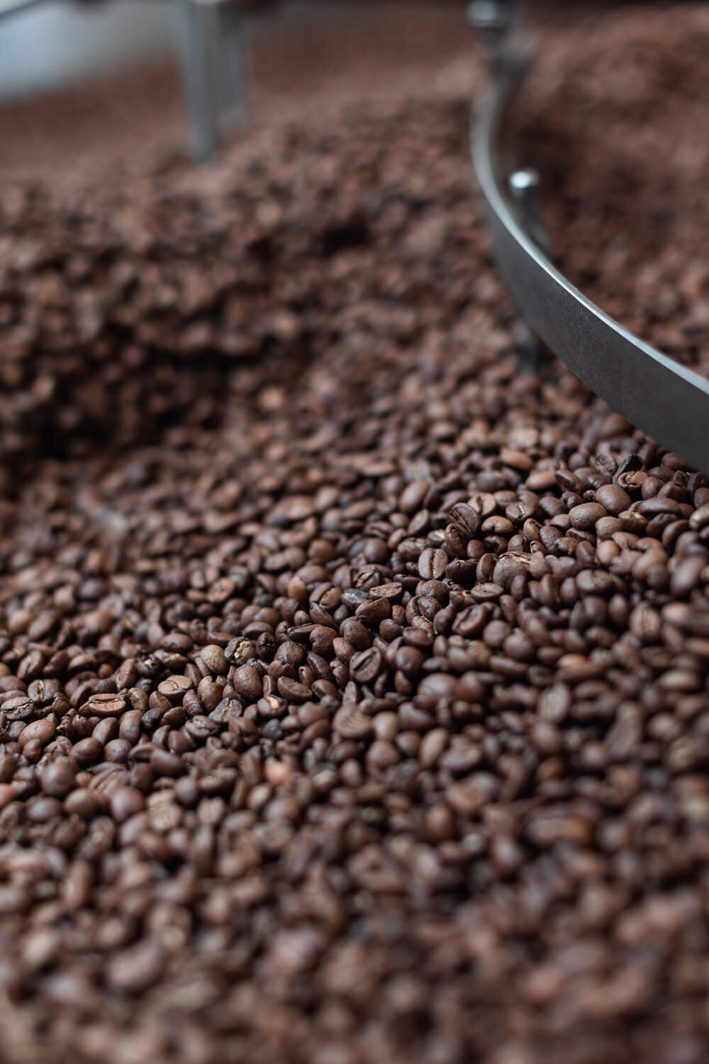 coffee beans inside of a grinder