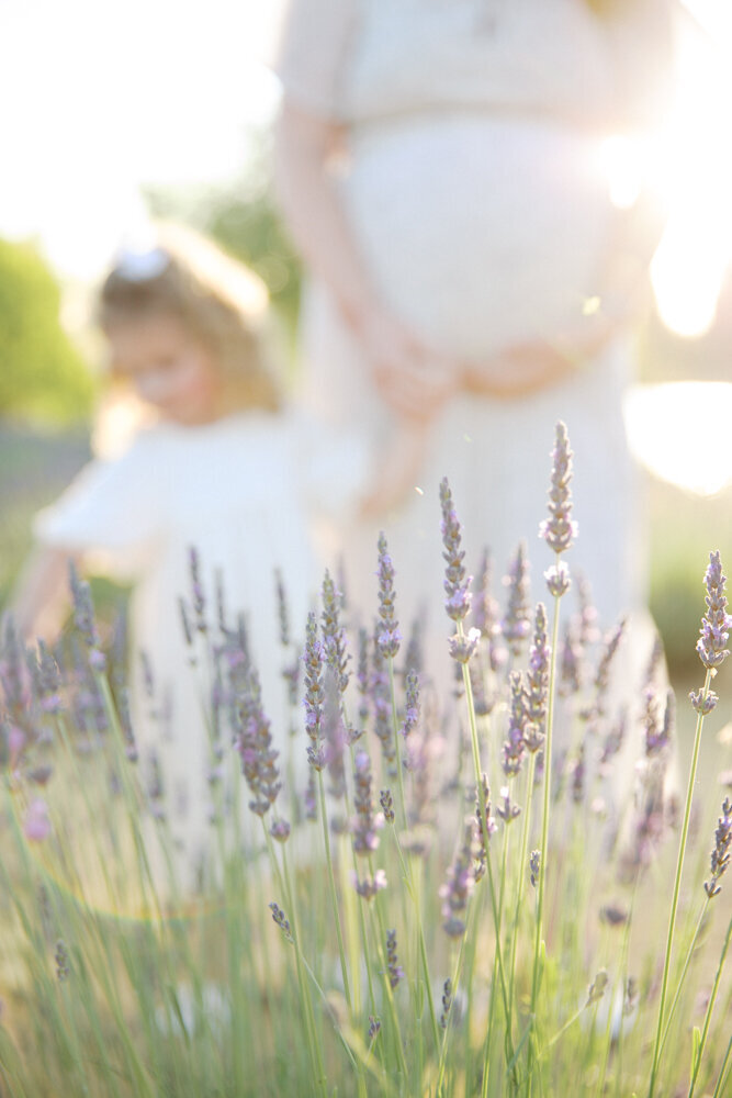 Brianna-Lavender - BLOG-2