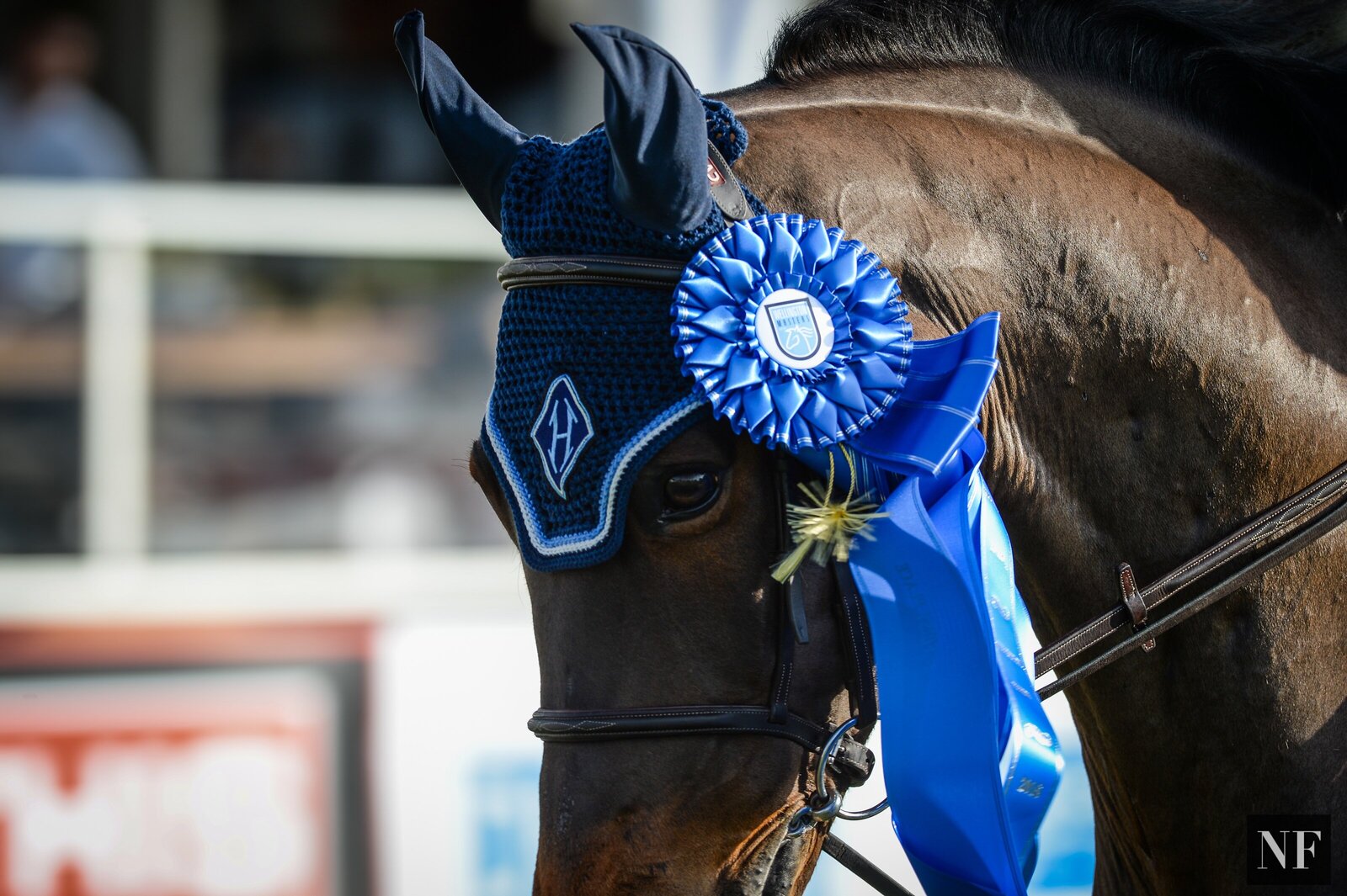 MclainWard_WellingtonMasters2016-9