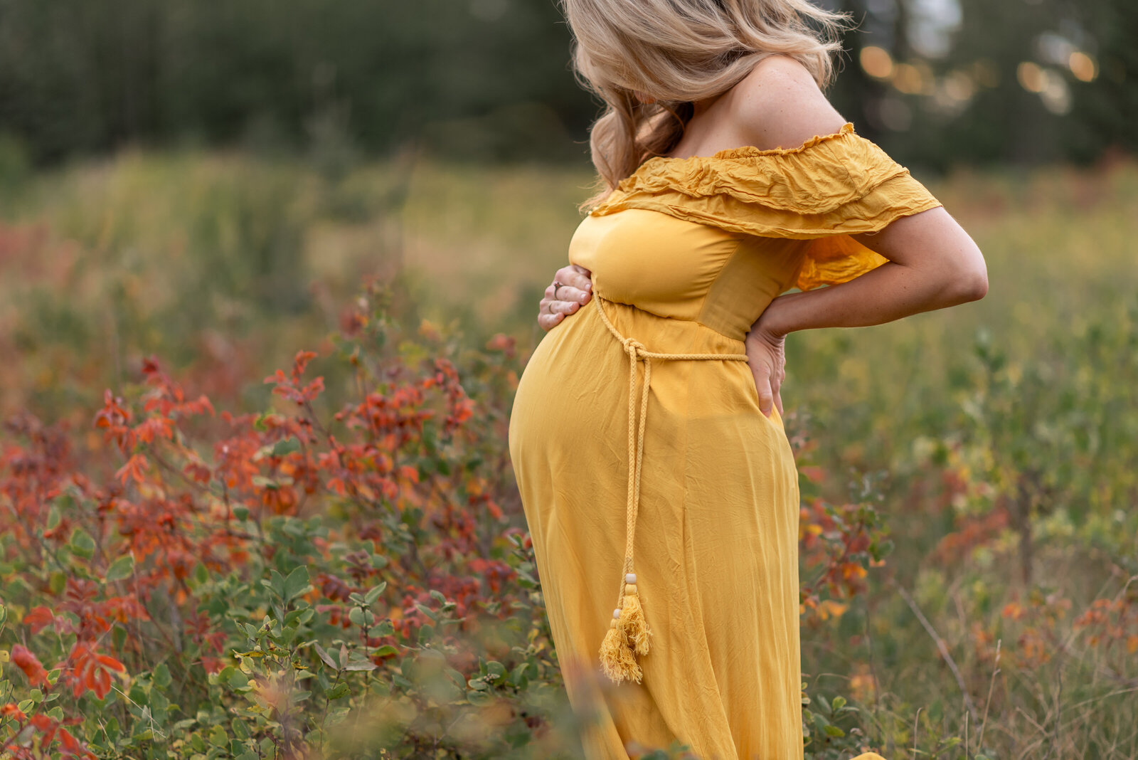 edmonton-maternity-photographer-6367