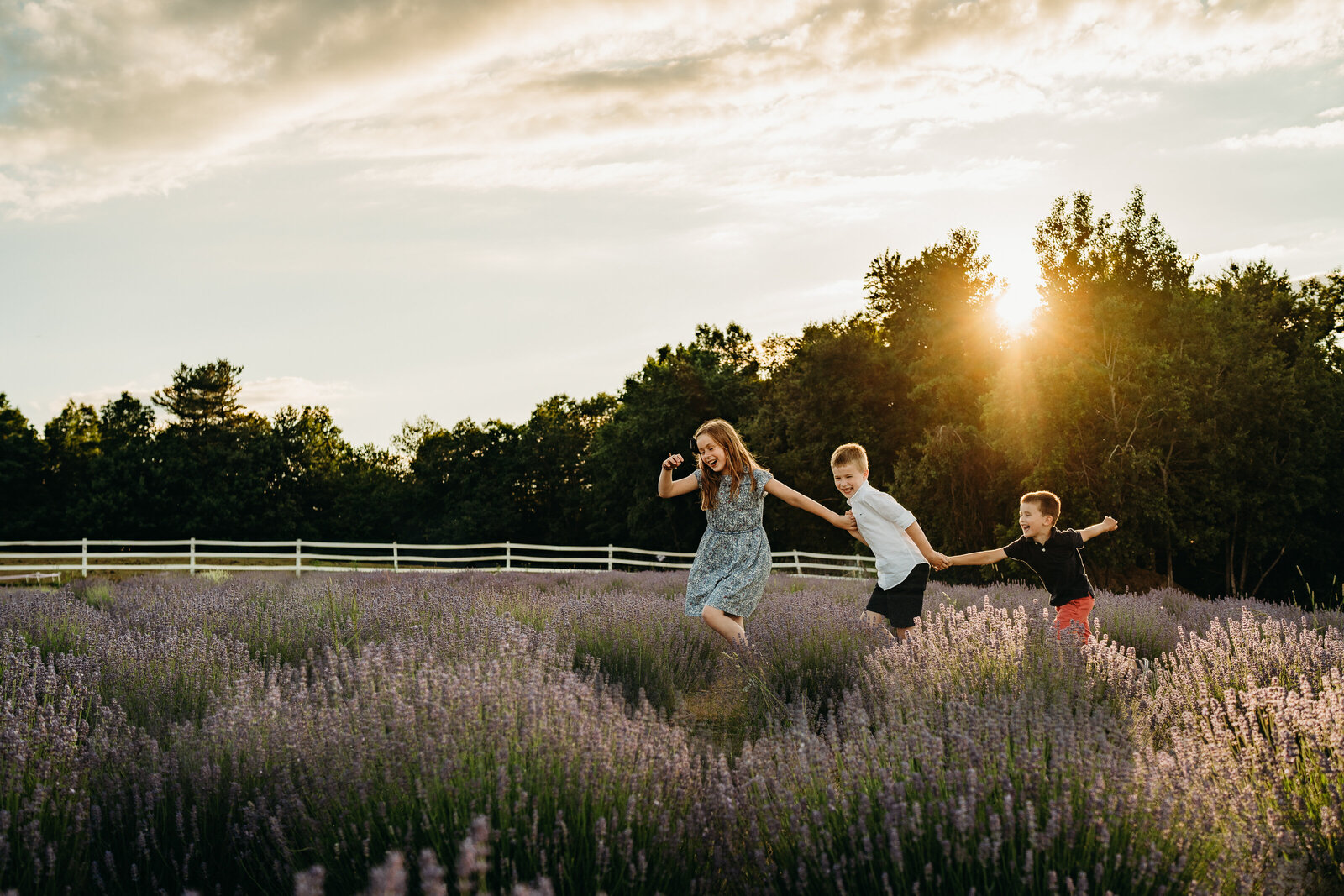three siblings hold hands and run through lavender field at sunset