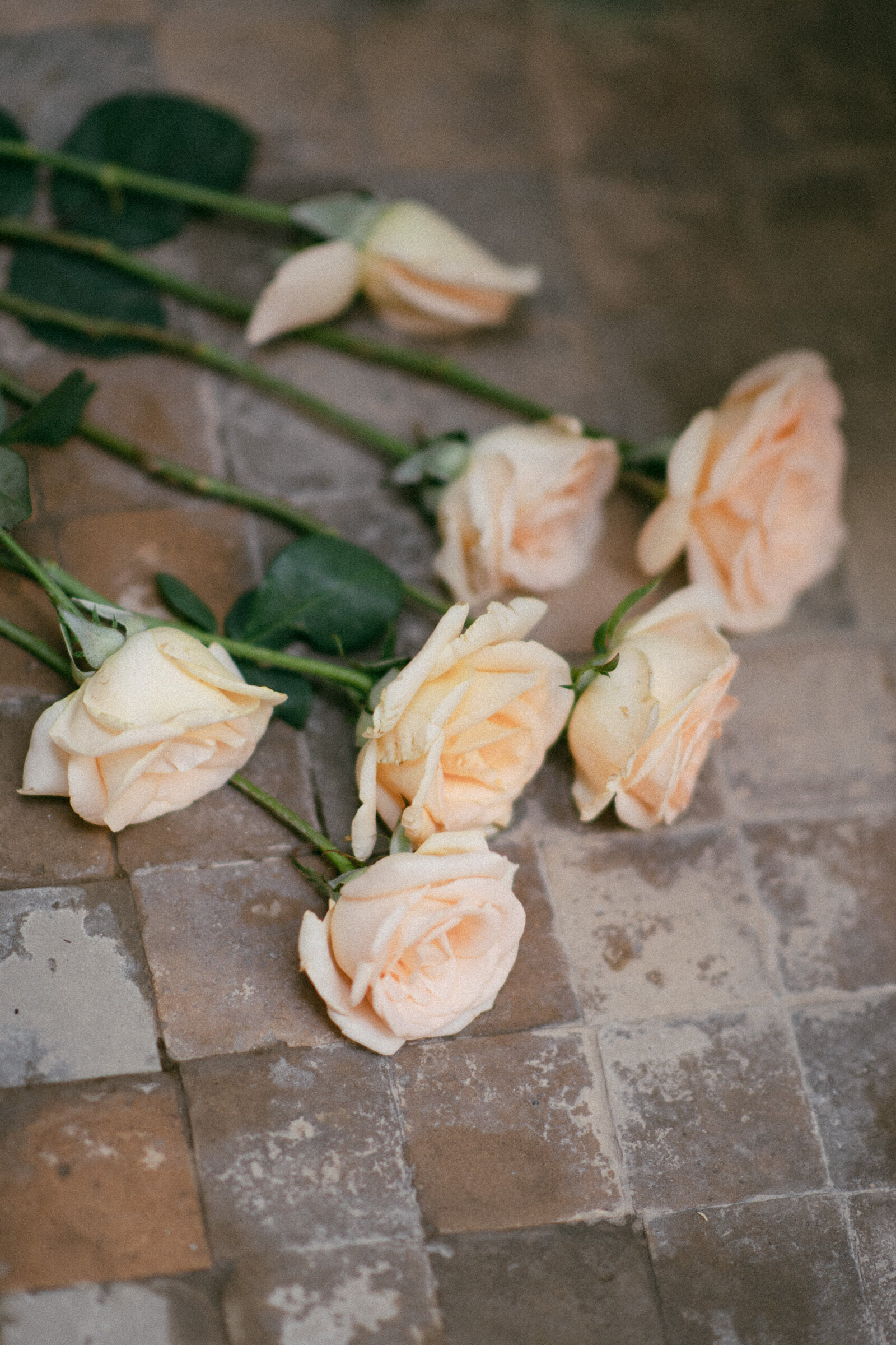 Surrey Wedding Photos-132