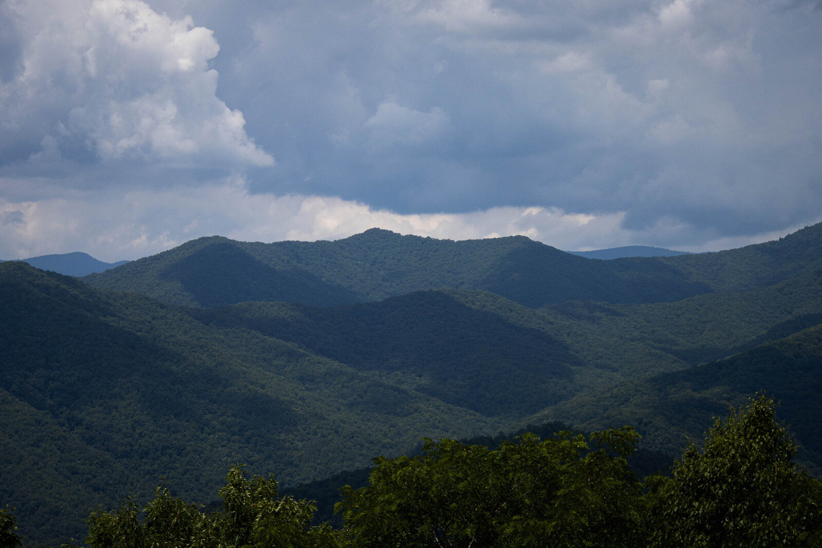 Smoky mountains2_Beastbird Media