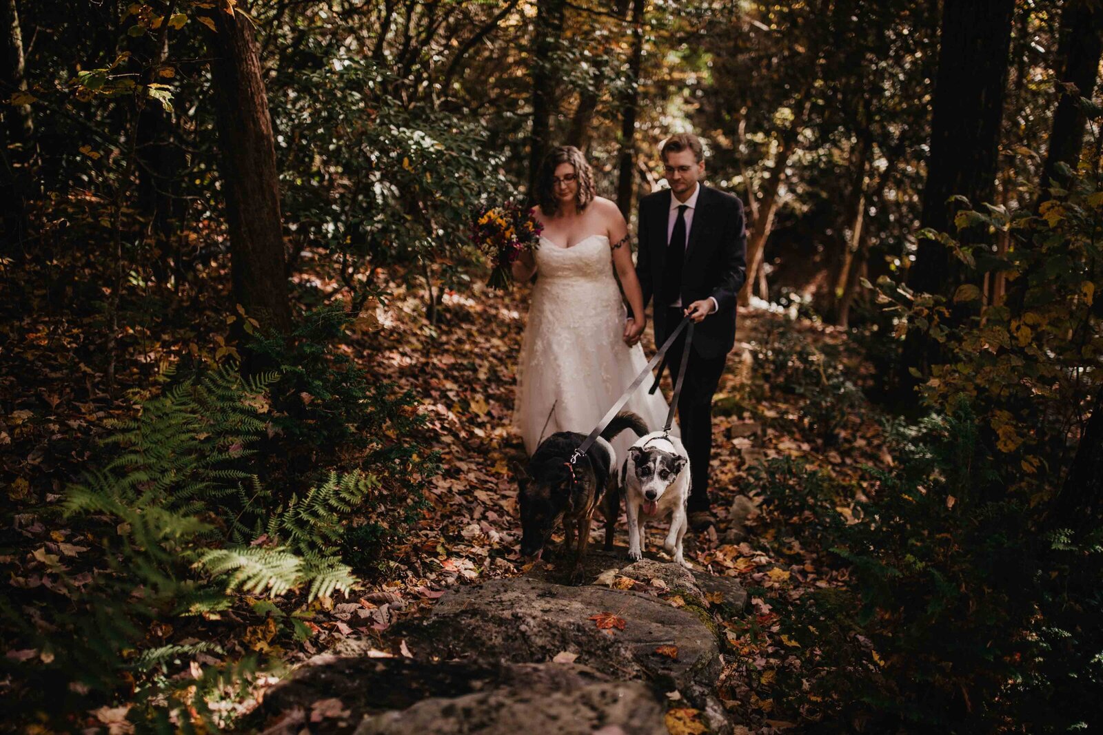 Cabin wedding in Western North Carolina