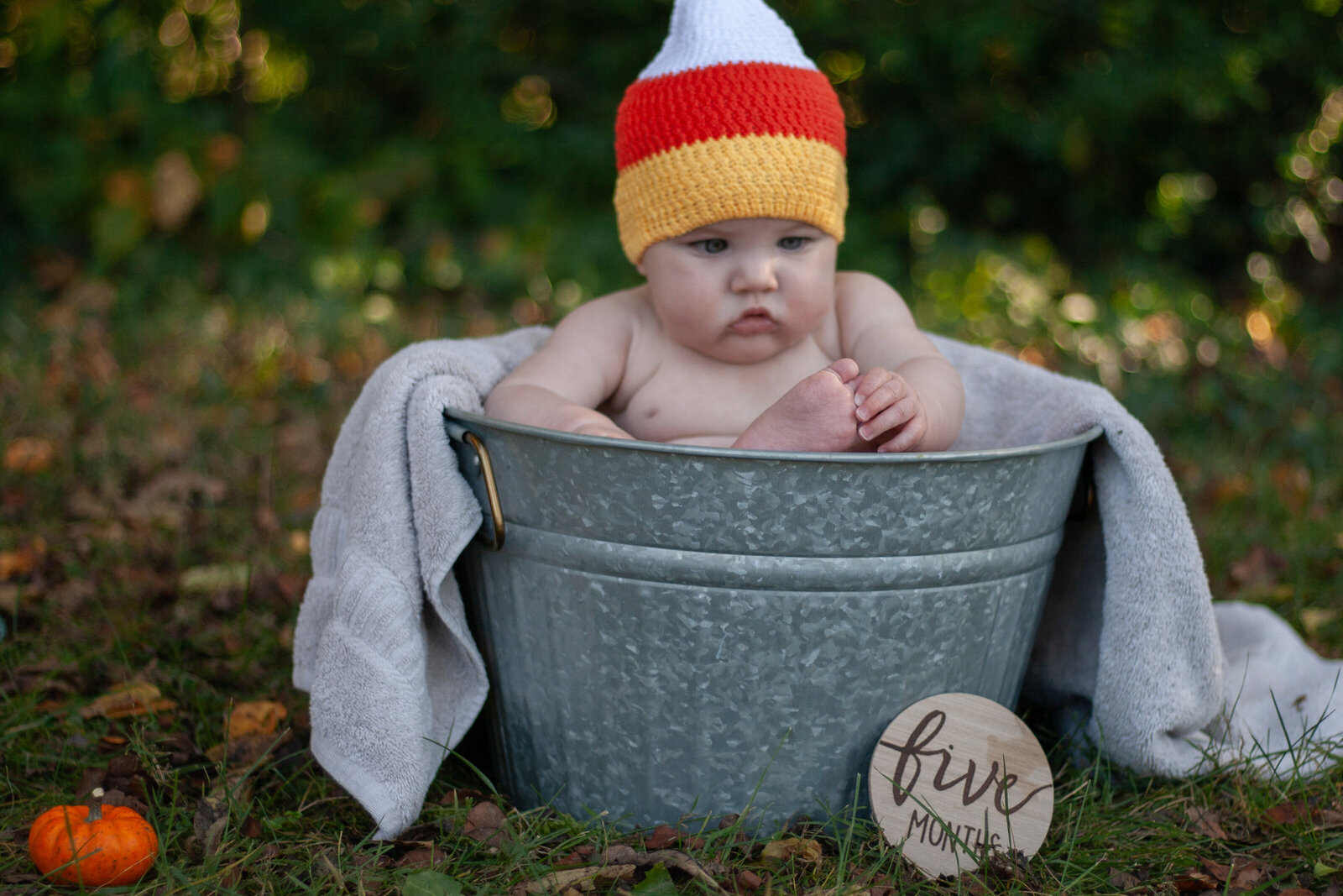 Fall baby candy corn