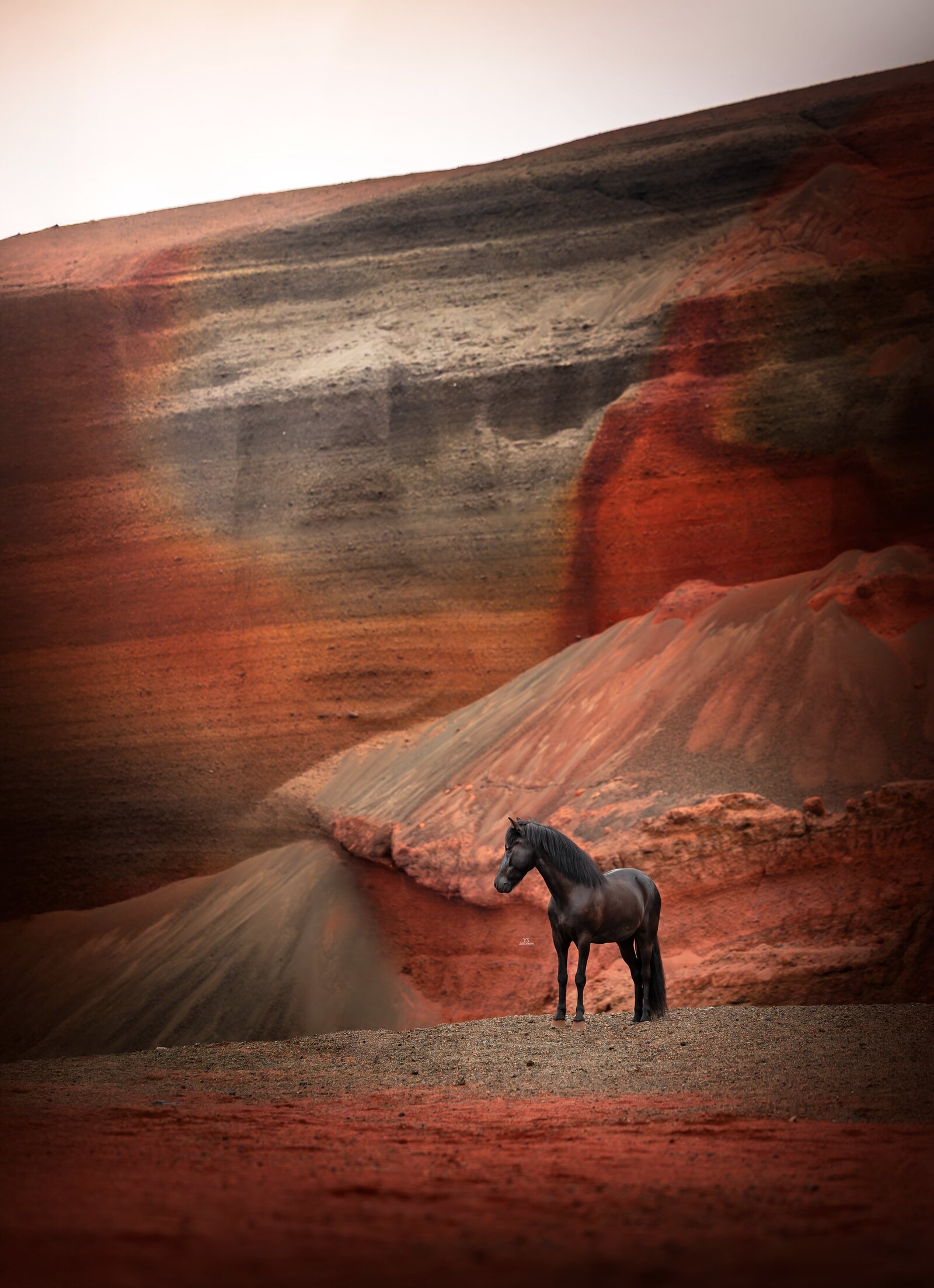 YS246770-Enhanced-NR-Edit