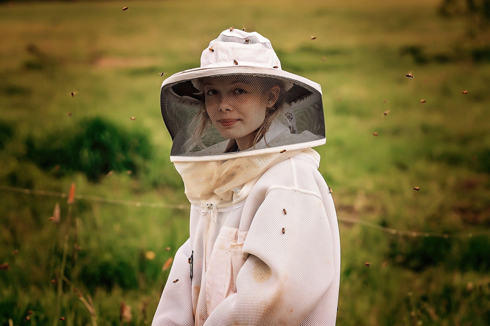 Bees4