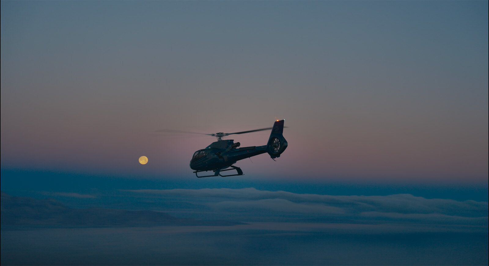 Scenic helicopter tour over Hidden Valley to spot Nevada's wild mustangs