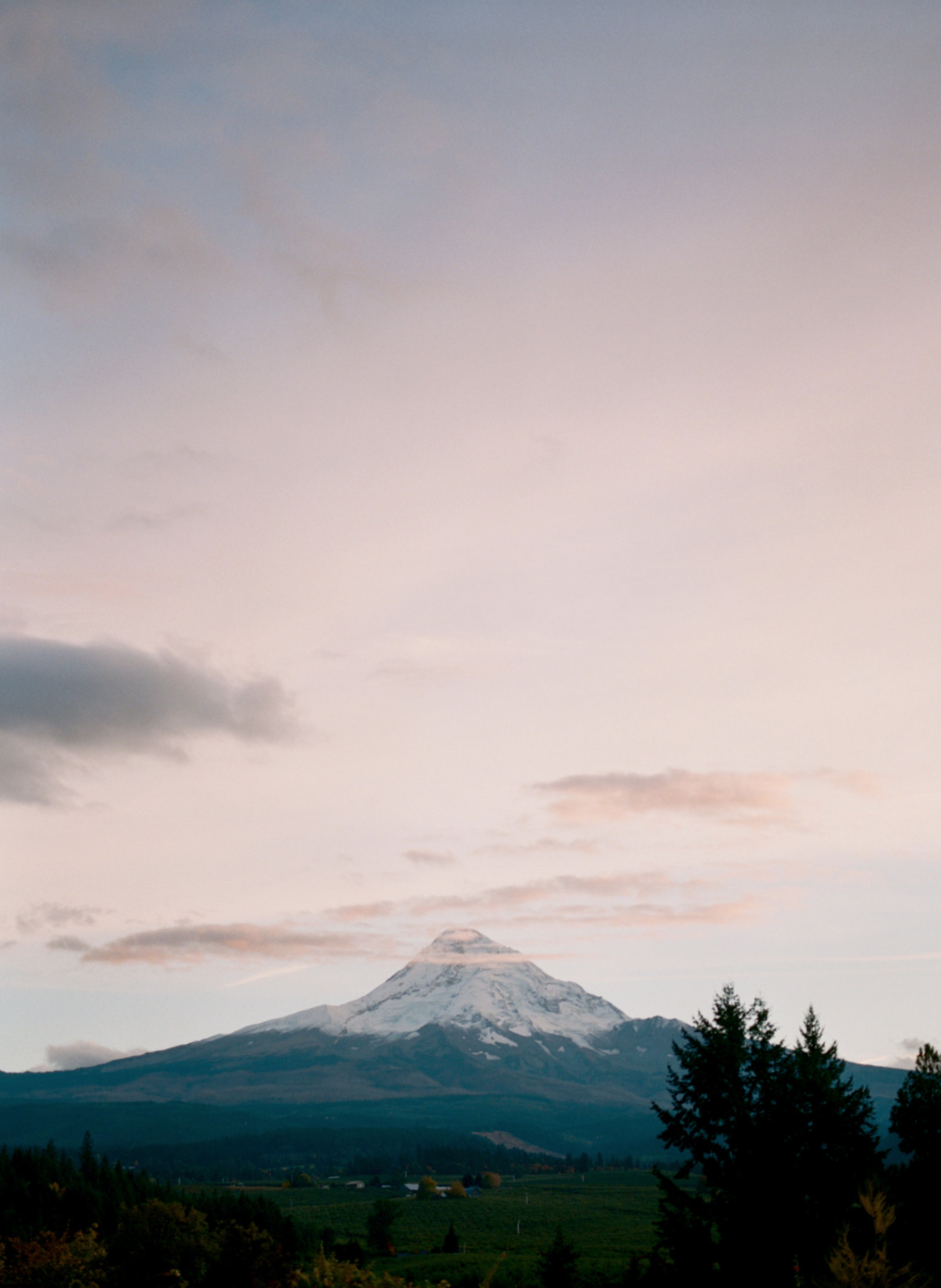 Screen Shot 2020-12-20 at 12.06.35 PM