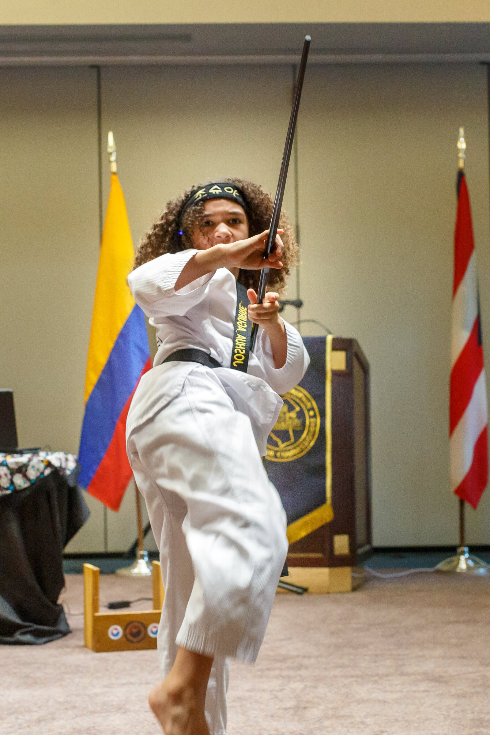 14th Annual Dauphin County Hispanic Heritage Celebration-87