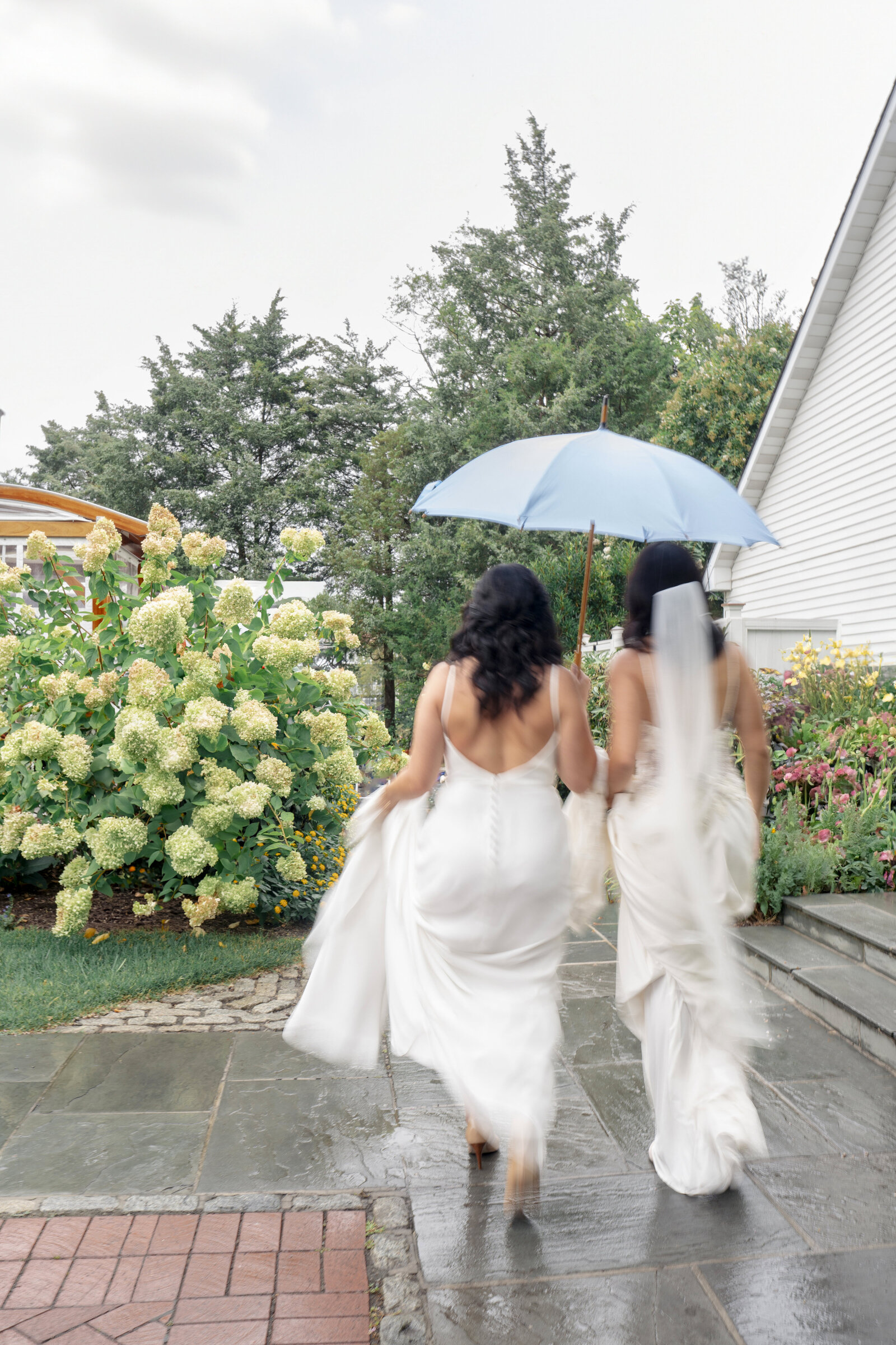 Two brides in white dresses walk hand in hand on a stone path in a garden setting. One holds a blue umbrella. Lush greenery and hydrangeas are in bloom nearby, and a white building is visible in the background.