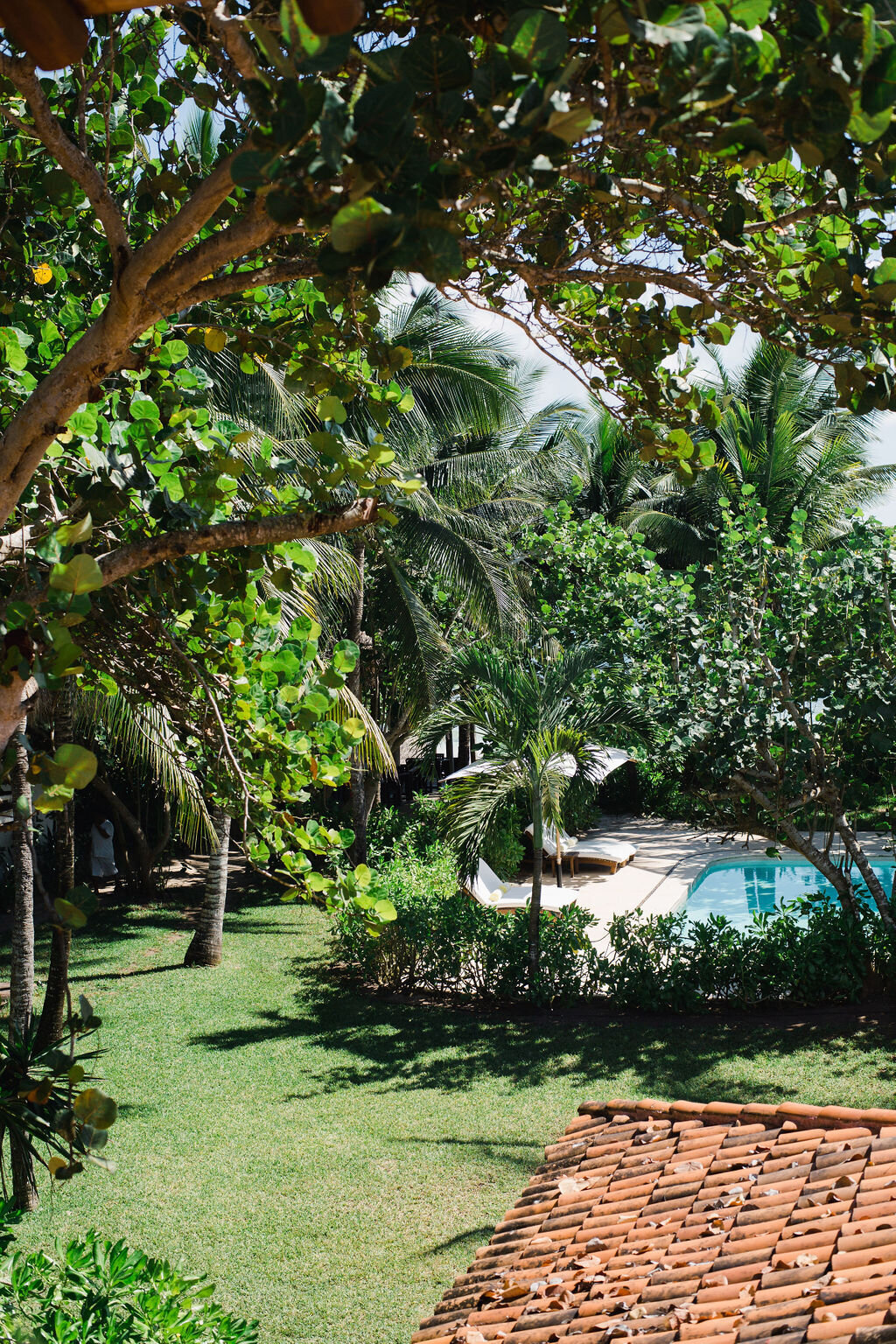 View of the pool amongst lush trees and greenery at Hotel Esencia, Tulum, Mexico