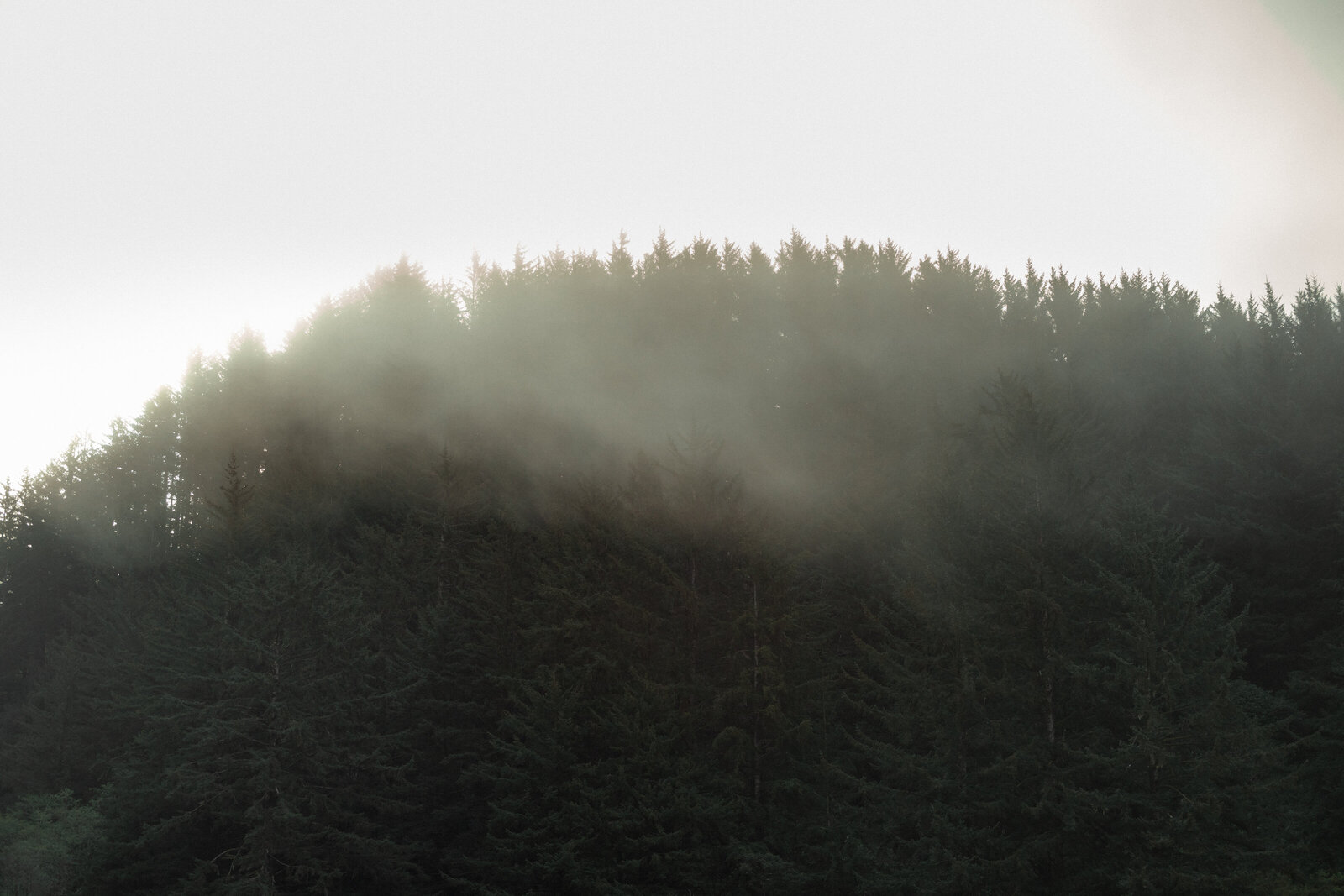 A couple eloping in the Oregon coast. Photo taken by Kollar photography. Arizona Elopement photographer