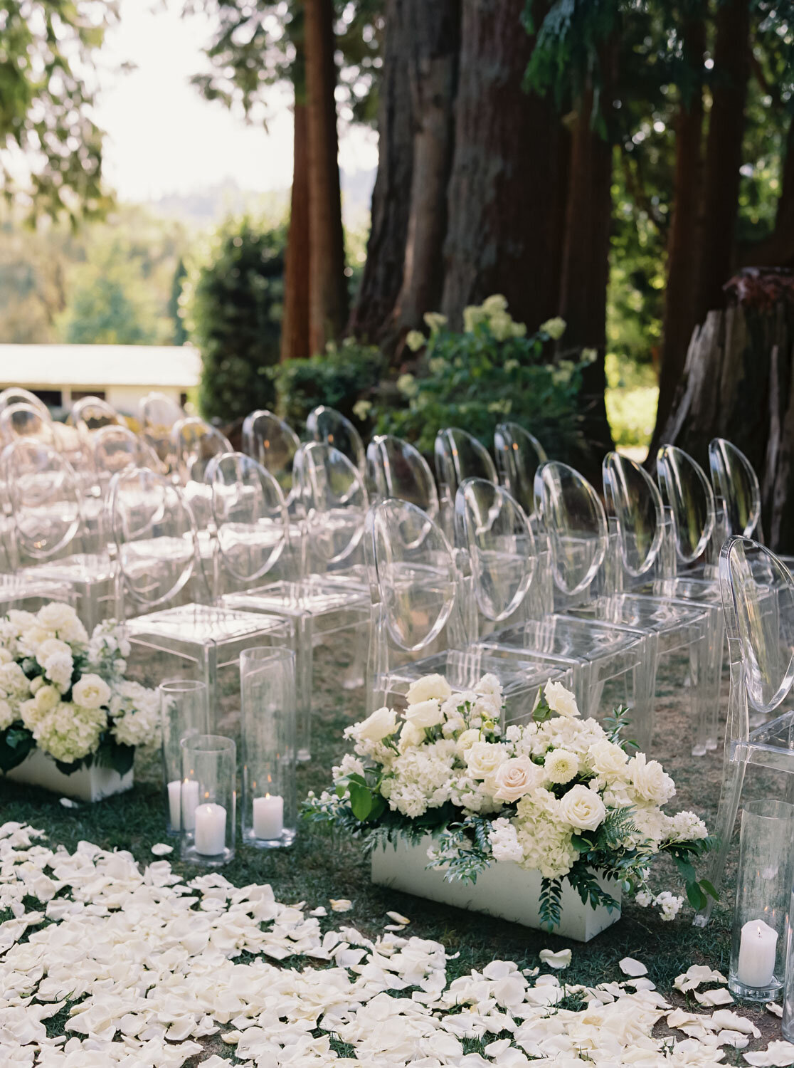 Ceremony aisle lined with rose petals and clear chairs