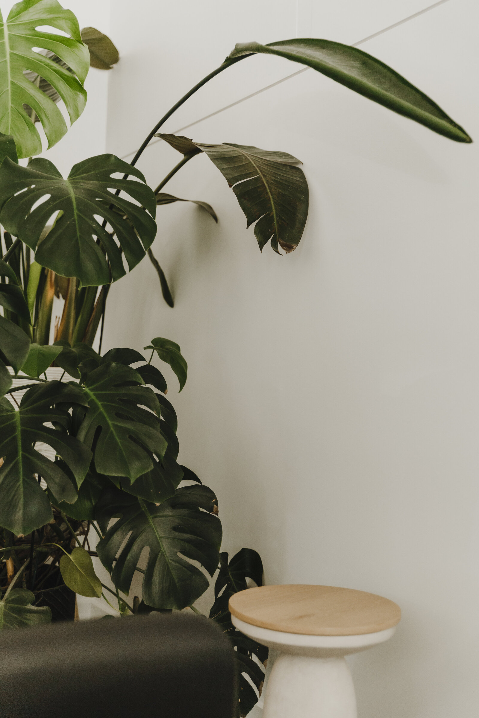 02092025_CurateSalon-18