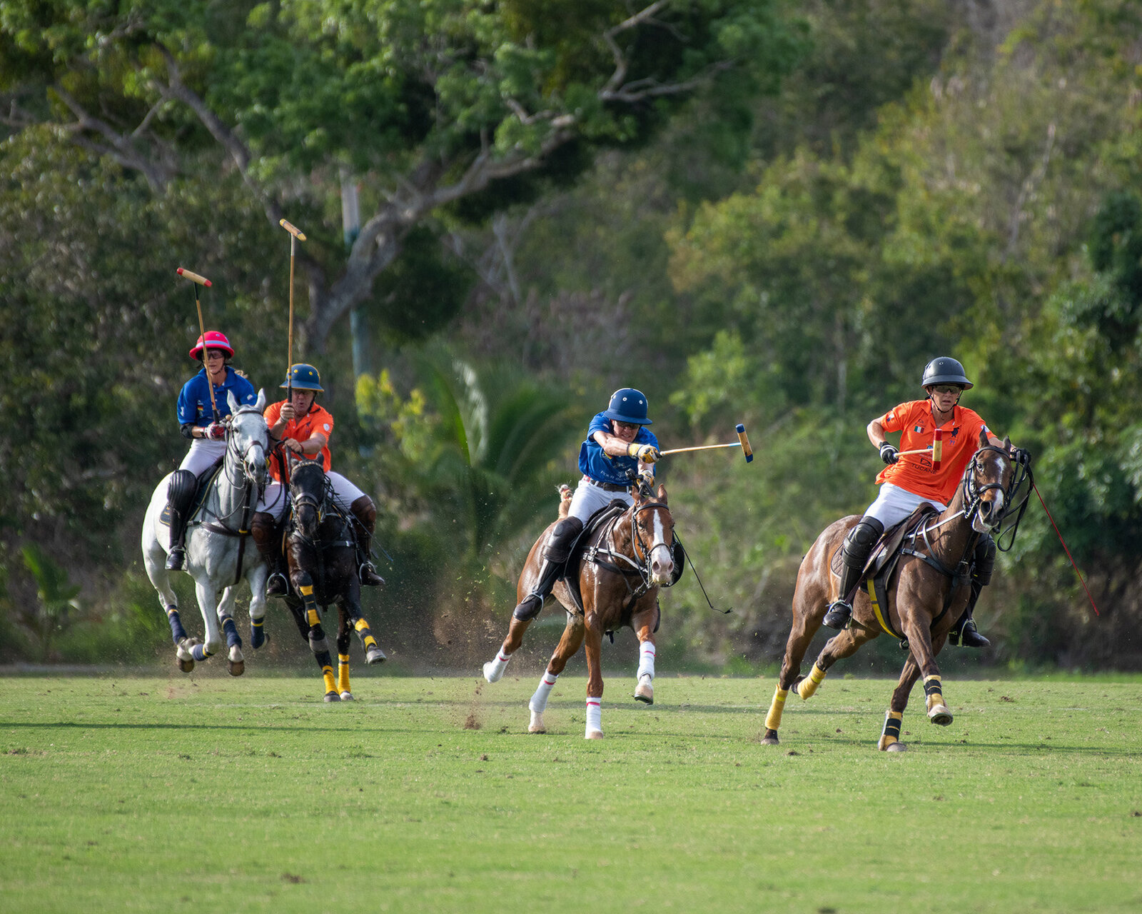 Polo-Copa-Agua-Alta_Pololife-Careyess_ 04-04-23 18 27 41