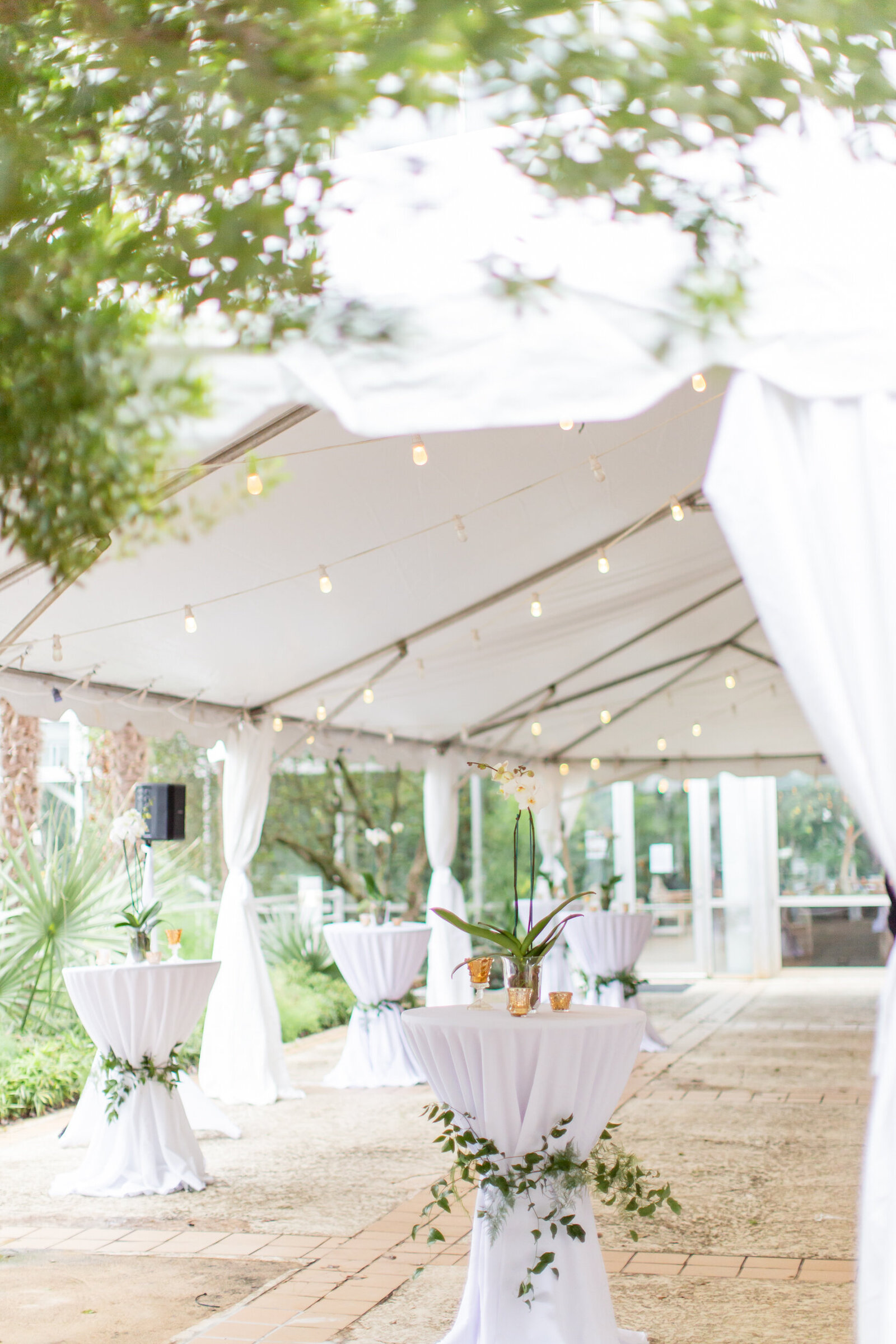 botanic garden wedding outdoor tent