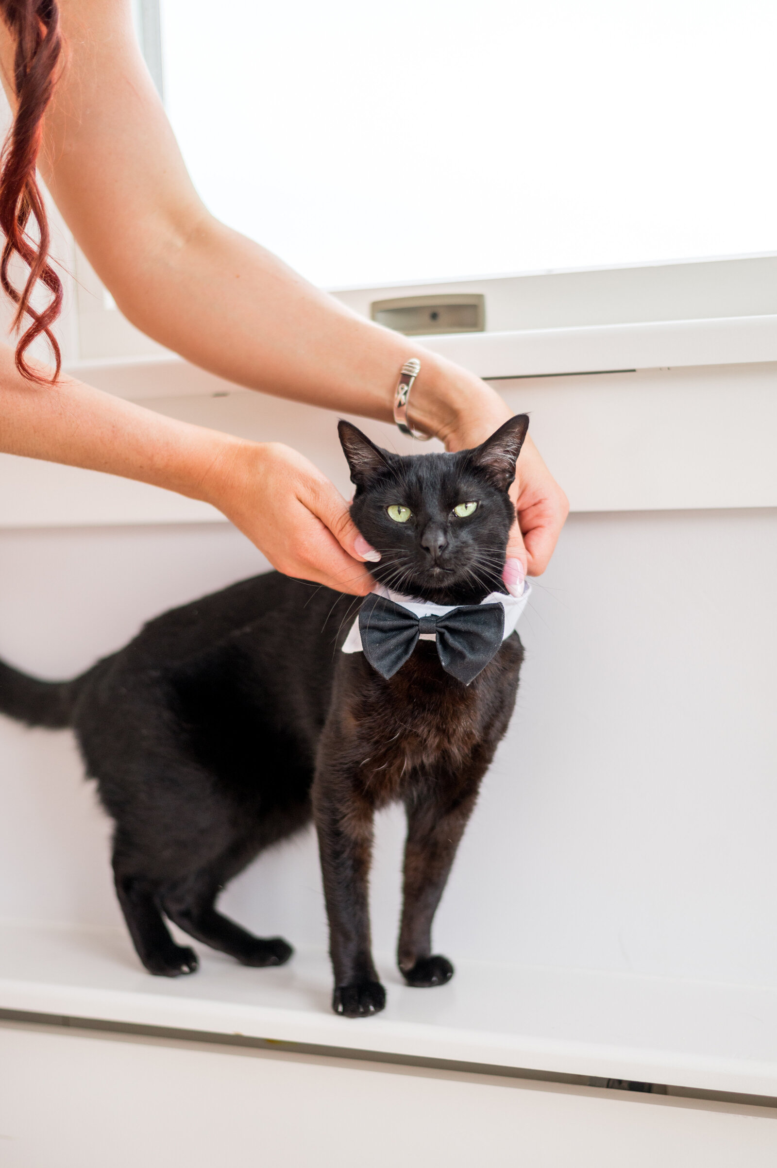 Black Cat Wedding