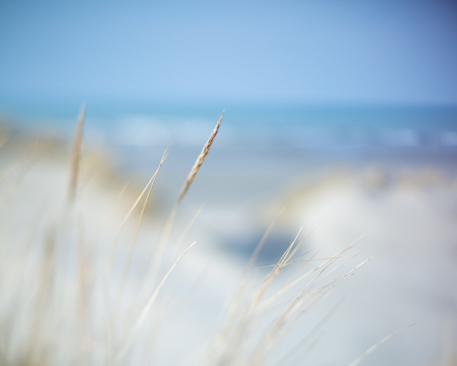 fine_art_photographer _001