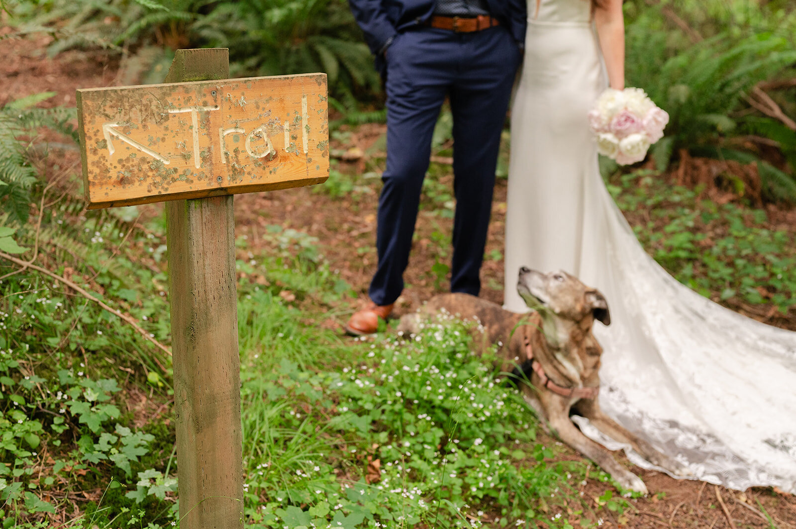 Sarah-Robbie_Caylie-Mash-Photography_0404_websize