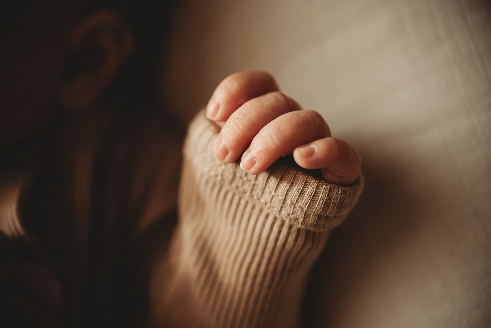 mosernewborn-bismarckstudio-7