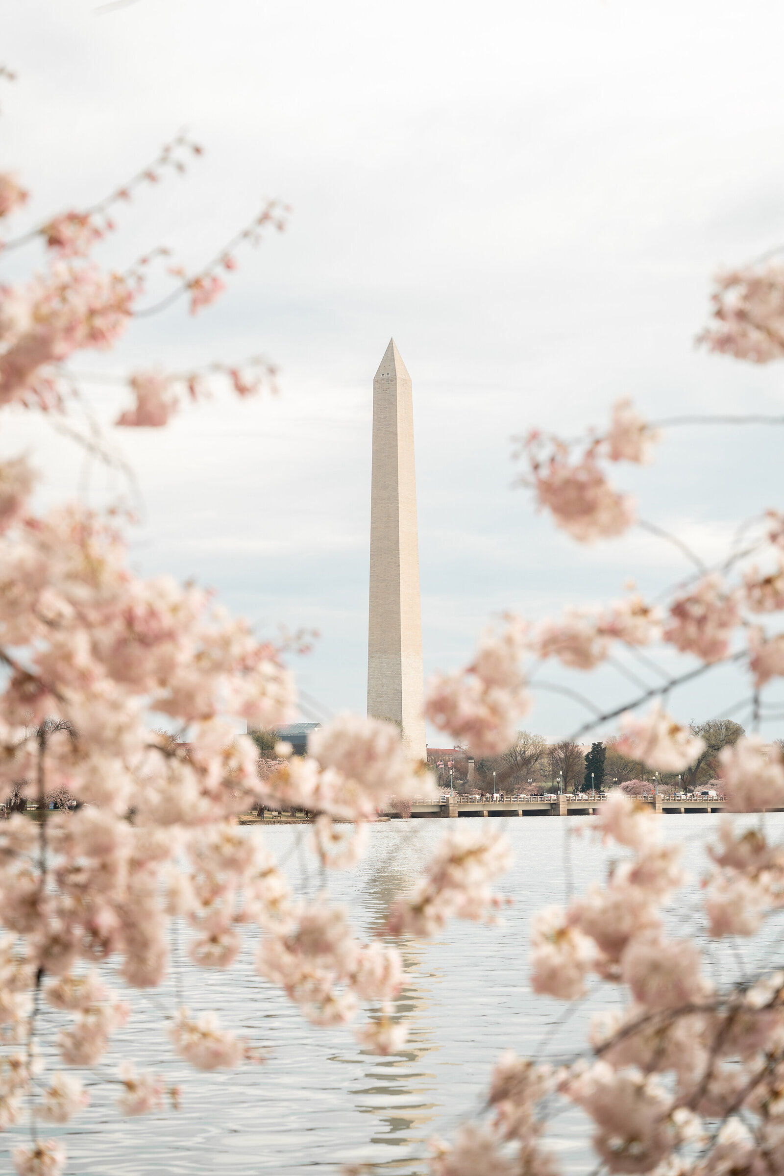 Waldorf Astoria Washington DC Travel Photographer Erin Donahue Photography niredonahue (3)