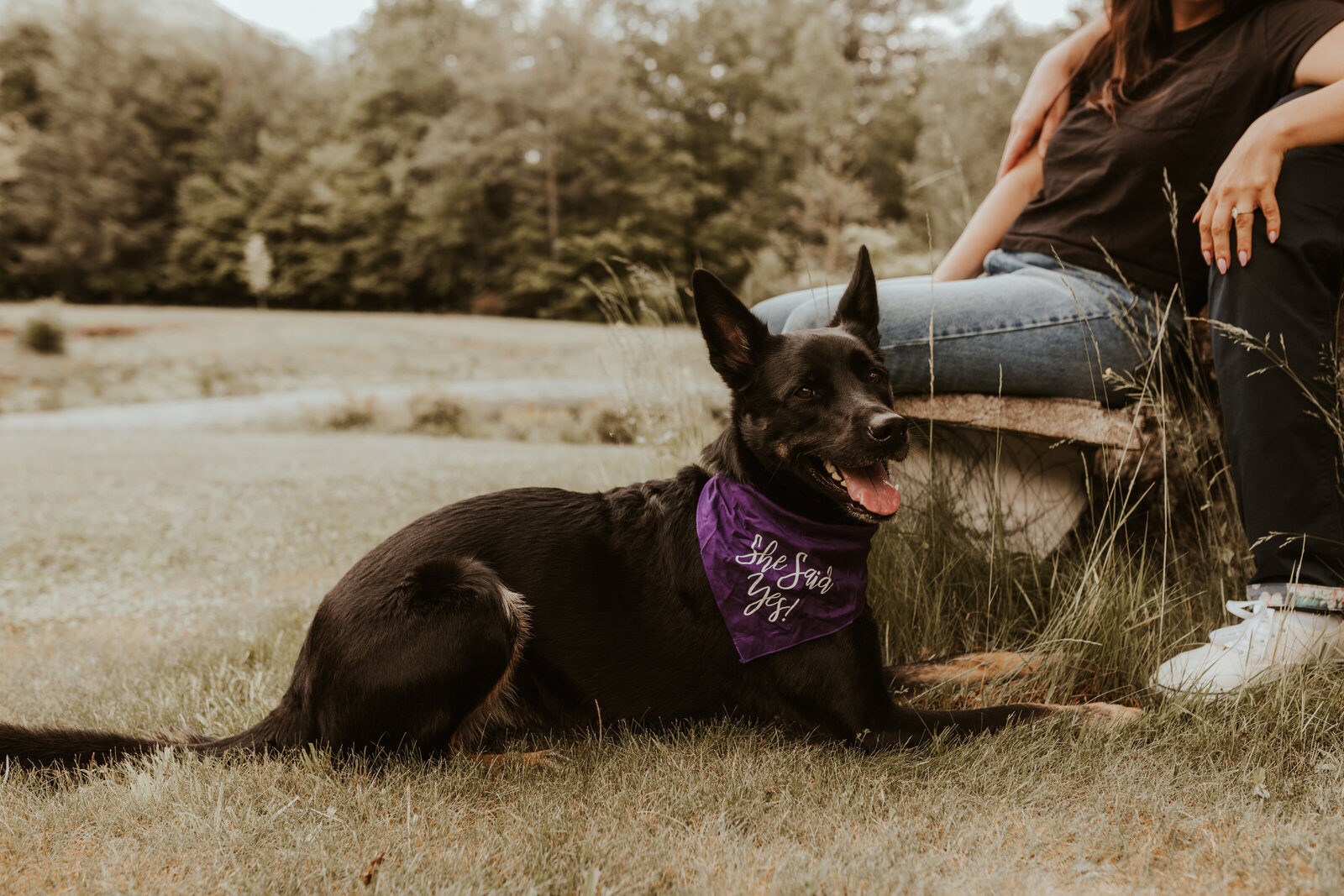 Romantic-Surprise-Proposal-Engagement-Chichester-Love-to-Lens- (58)
