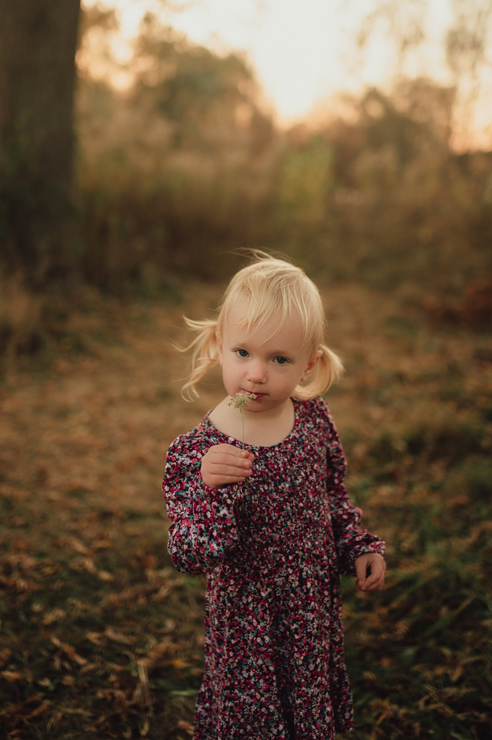 OLIVESAGEPHOTO-03